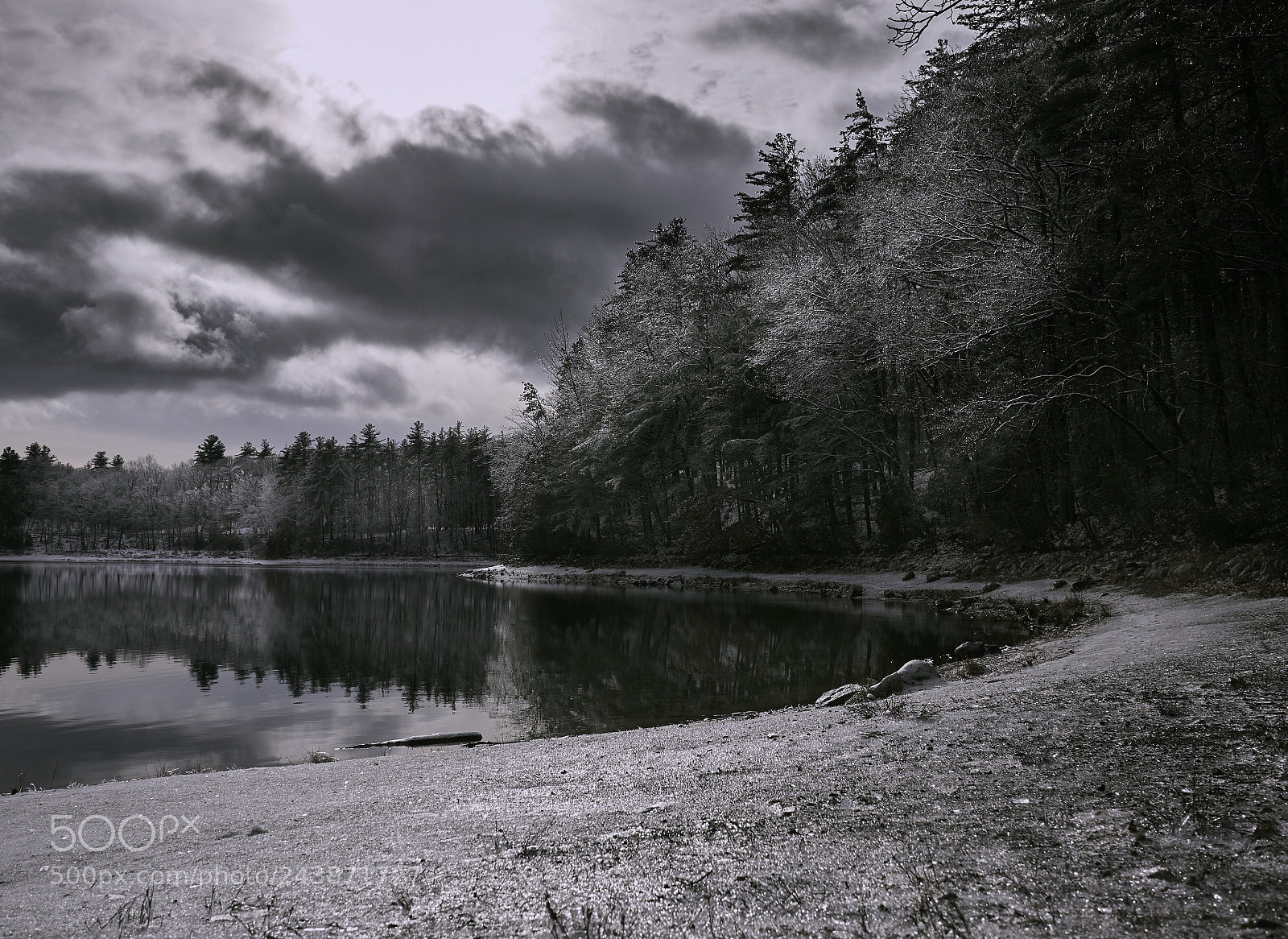 Panasonic Lumix DMC-GX85 (Lumix DMC-GX80 / Lumix DMC-GX7 Mark II) sample photo. Winter view of walden photography