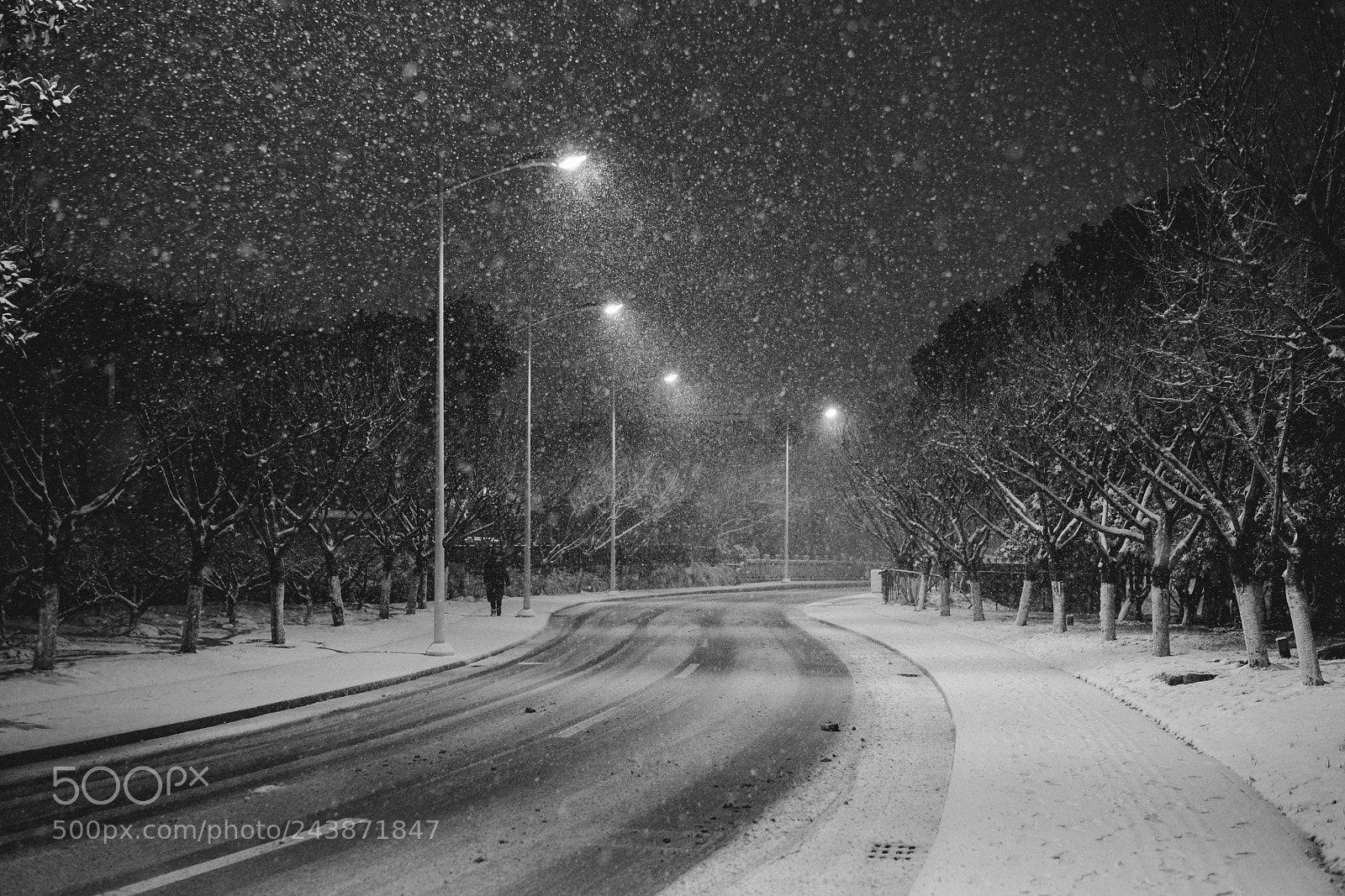 Sony a7R II sample photo. Snow photography