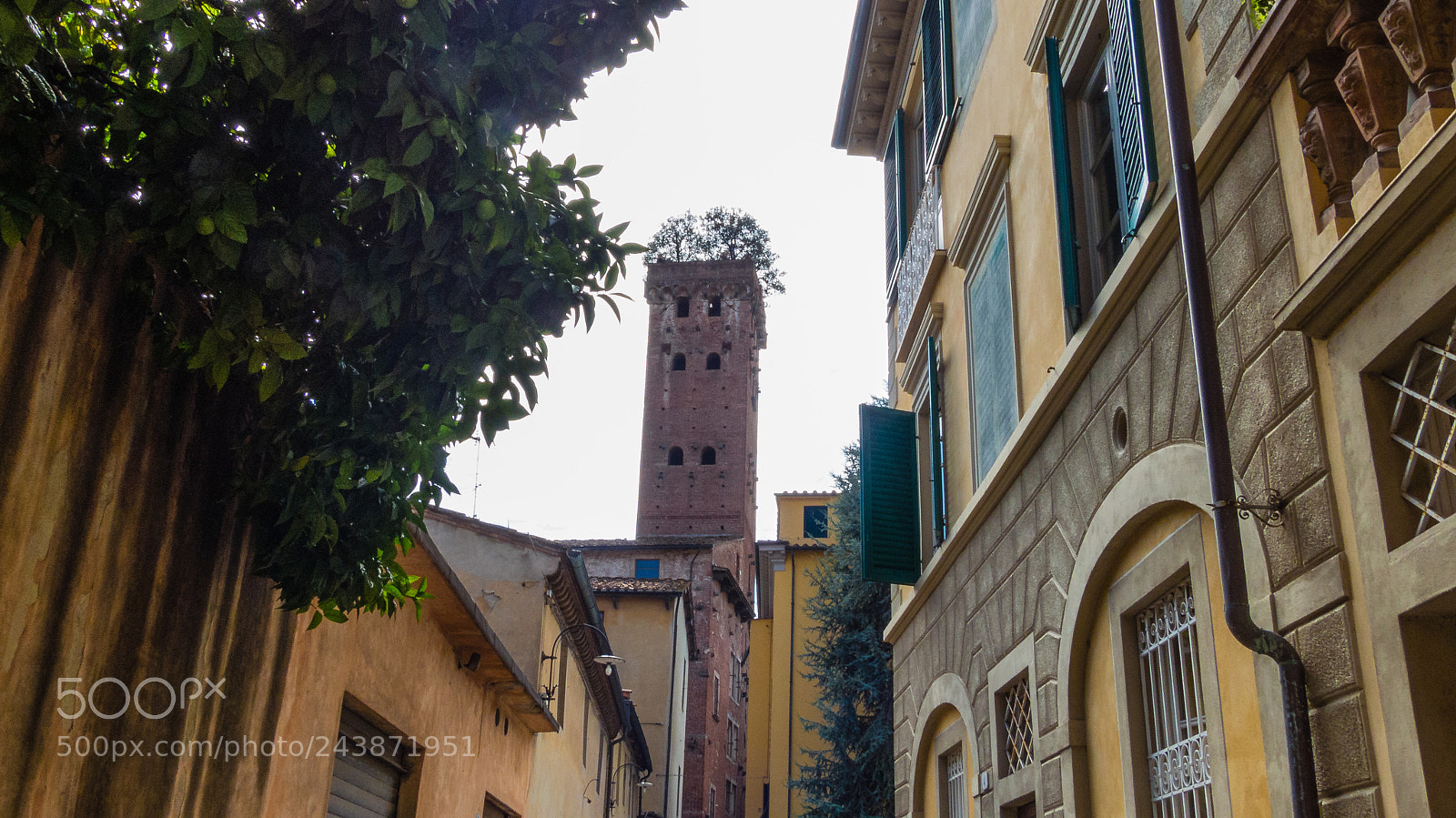 Panasonic Lumix DMC-FZ200 sample photo. Torre guinigi photography