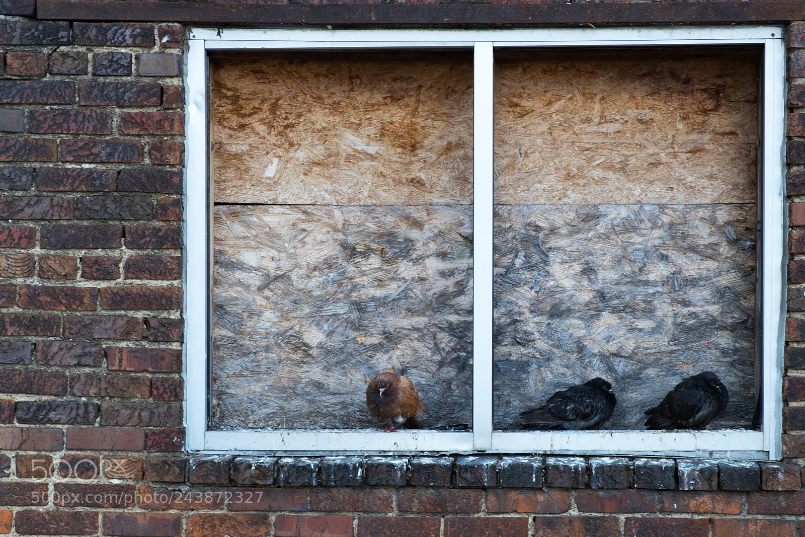 Fujifilm X-E2 sample photo. No one lives here photography