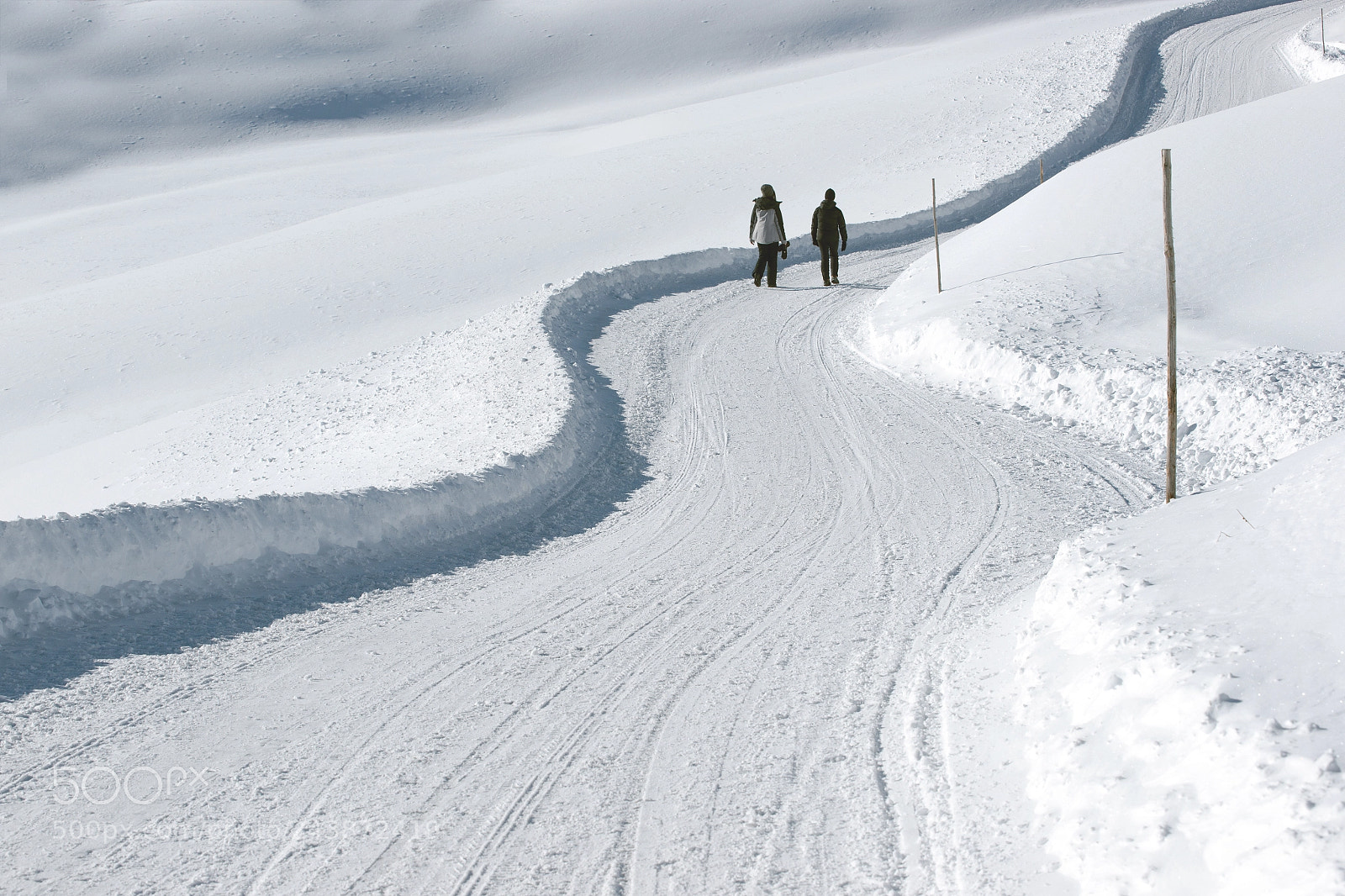 Sony Alpha DSLR-A900 sample photo. Walking through the snow photography