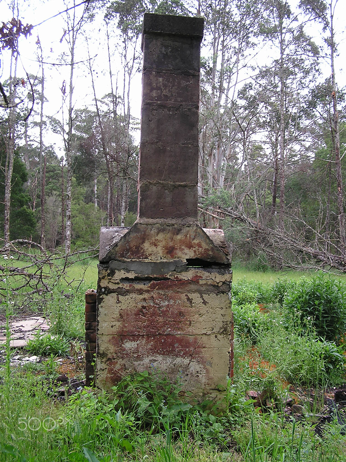 Olympus C740UZ sample photo. Walkers hut site old house chimney photography