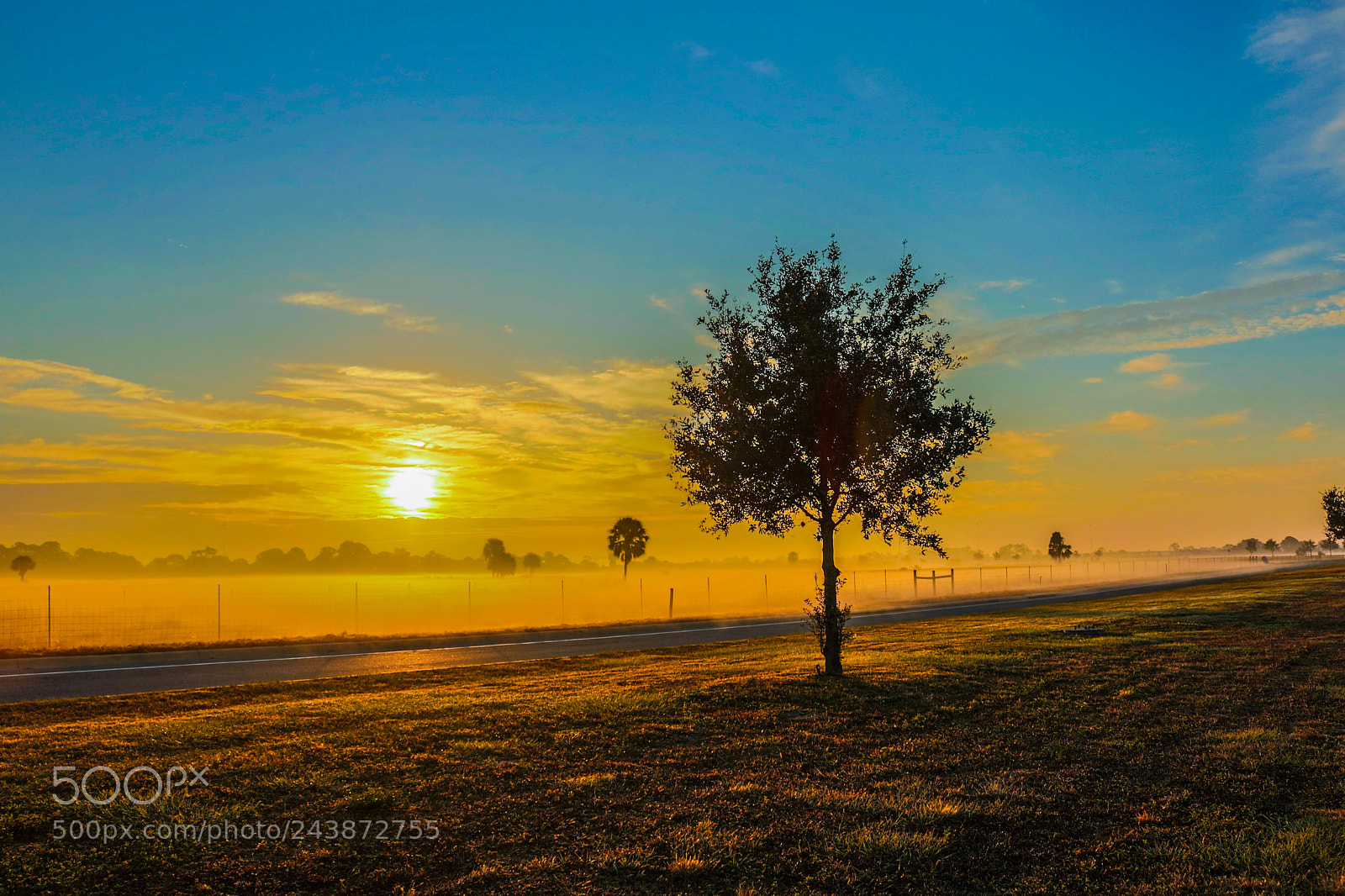 Canon EOS 750D (EOS Rebel T6i / EOS Kiss X8i) sample photo. Winter sunrise photography