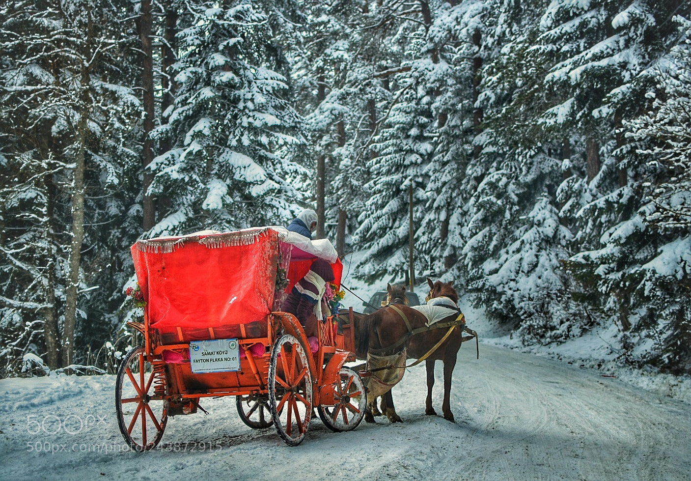 Nikon D7200 sample photo. Turkey bolu photography