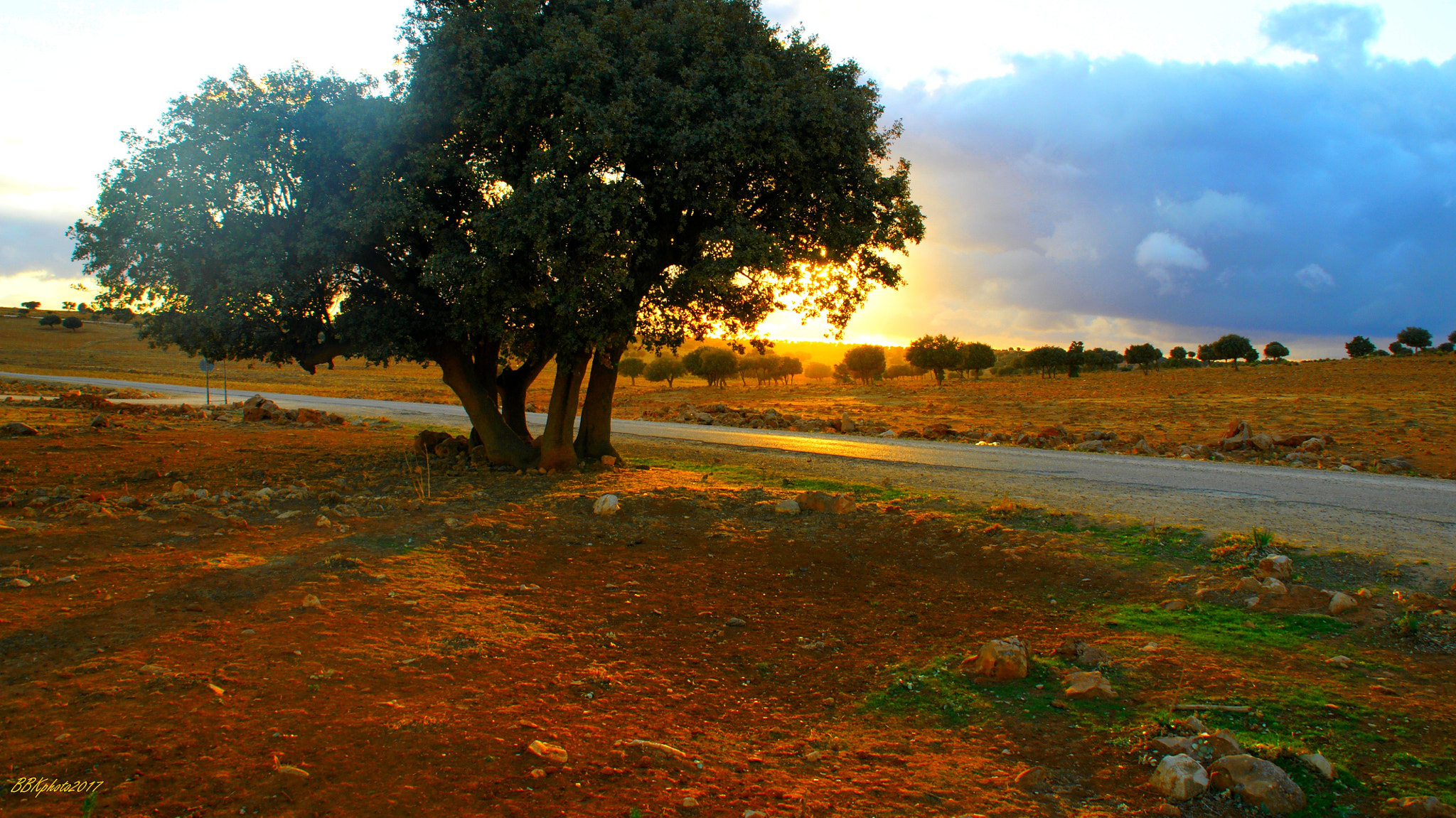 Sony Alpha DSLR-A700 + Sony DT 18-200mm F3.5-6.3 sample photo. Saida algerie photography