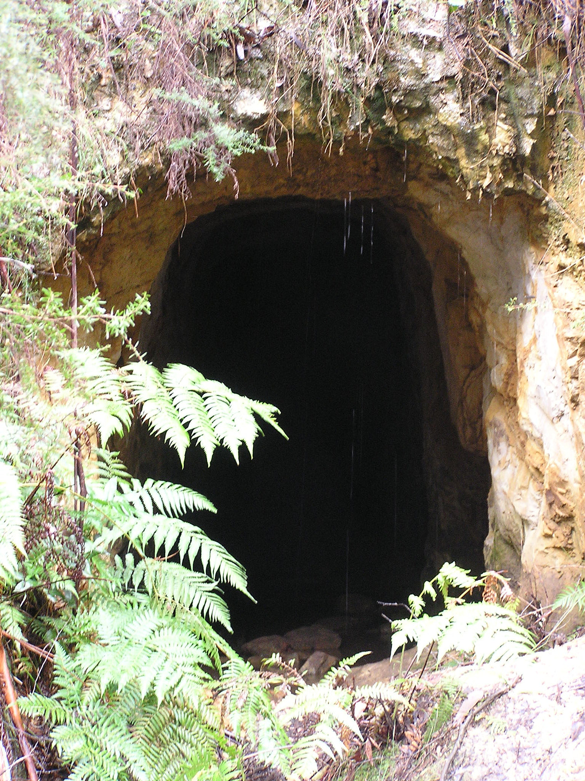 Olympus C740UZ sample photo. Gold mining photography
