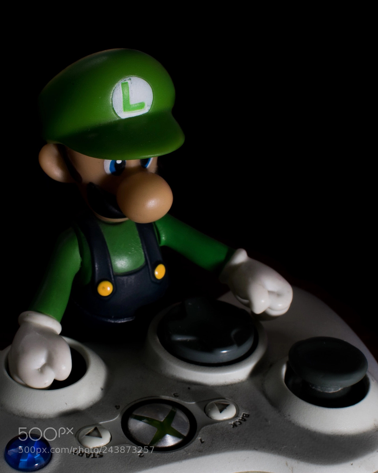 Nikon D3400 sample photo. Into the game photography