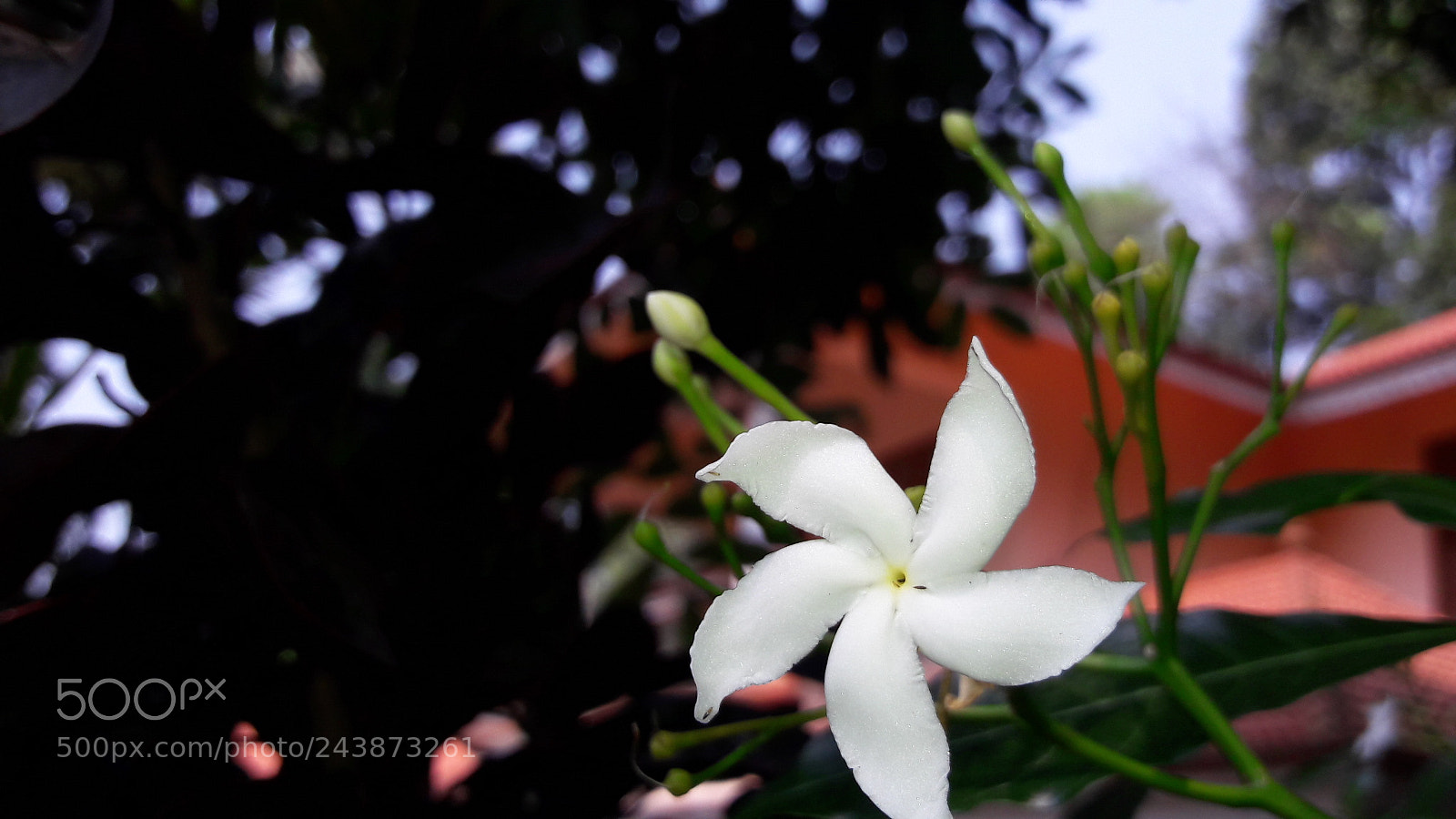Samsung Galaxy J7 sample photo. Untitled photography