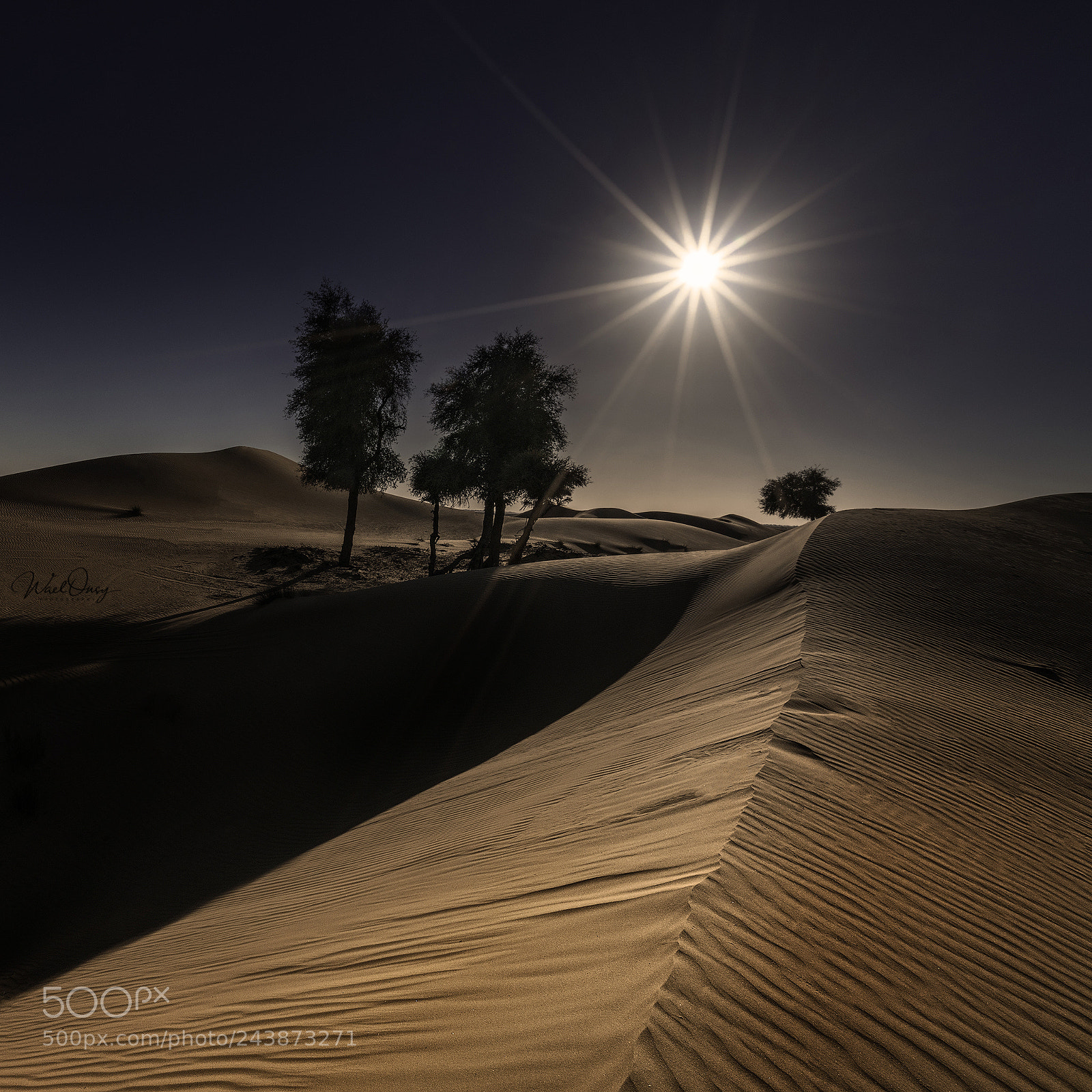 Sony a7R II sample photo. Golden dune photography