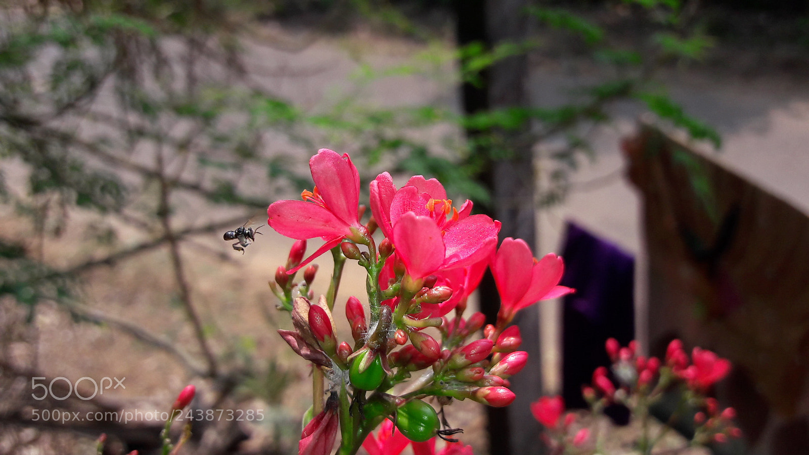 Samsung Galaxy J7 sample photo. Untitled photography