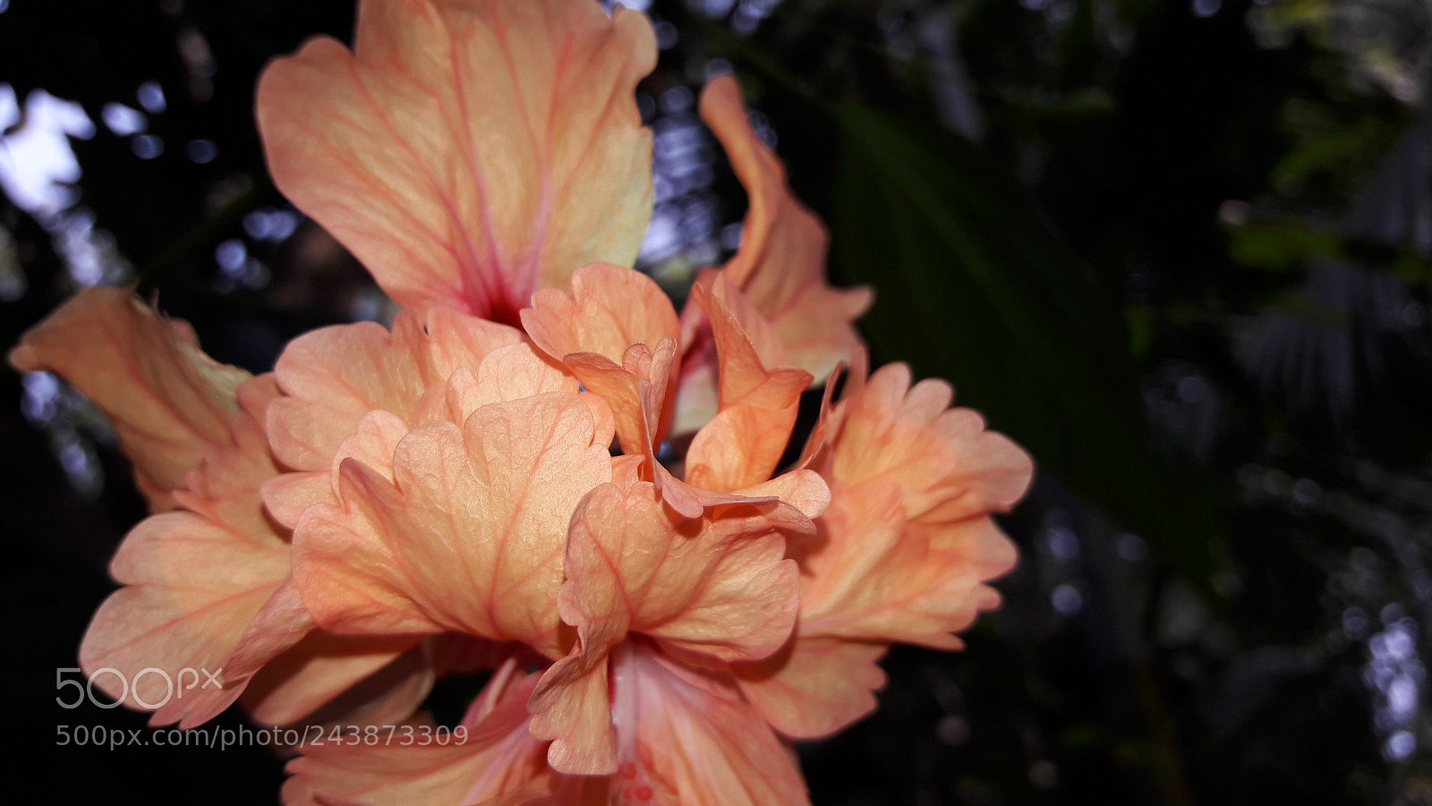 Samsung Galaxy J7 sample photo. Untitled photography