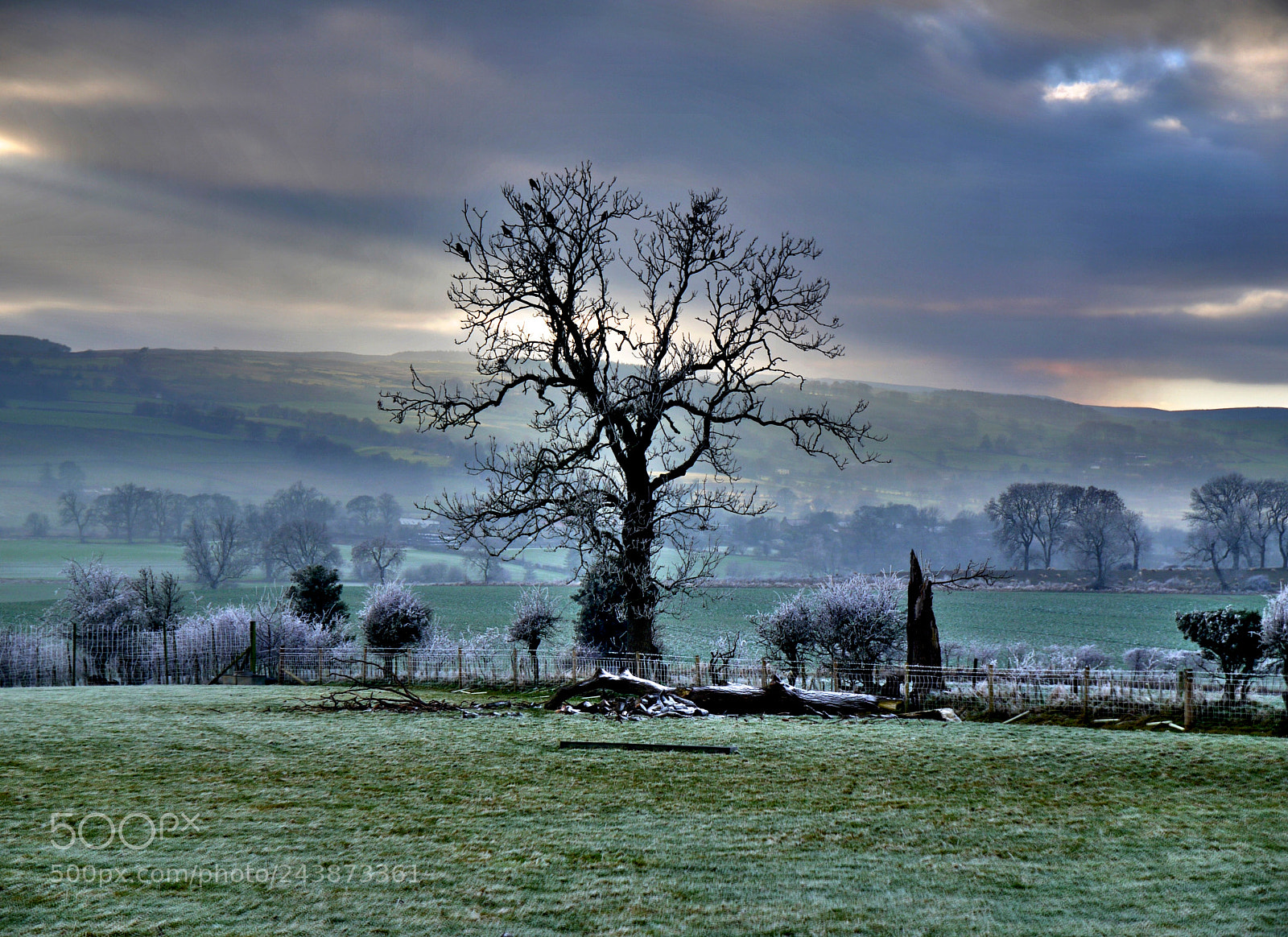 Panasonic Lumix DMC-G1 sample photo. Mainsgill farm photography
