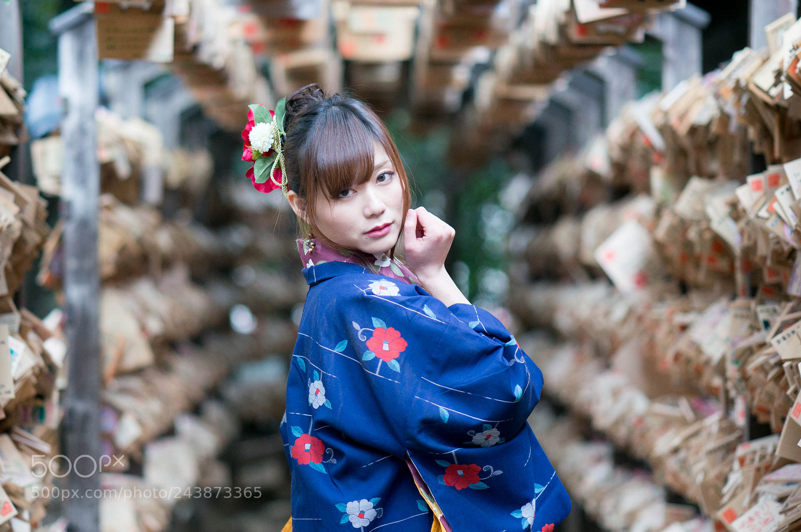 Sony Alpha NEX-6 sample photo. 20180126-1 photography