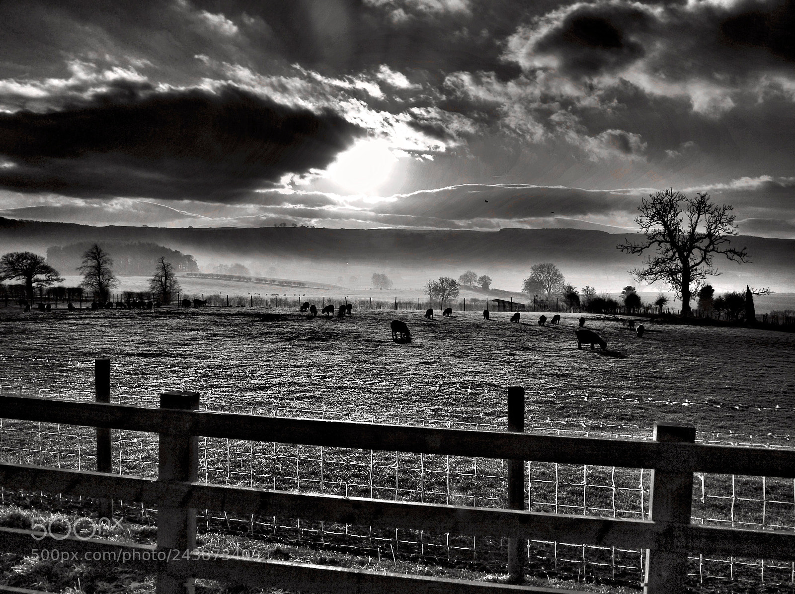 Panasonic Lumix DMC-G1 sample photo. Mainsgill farm photography