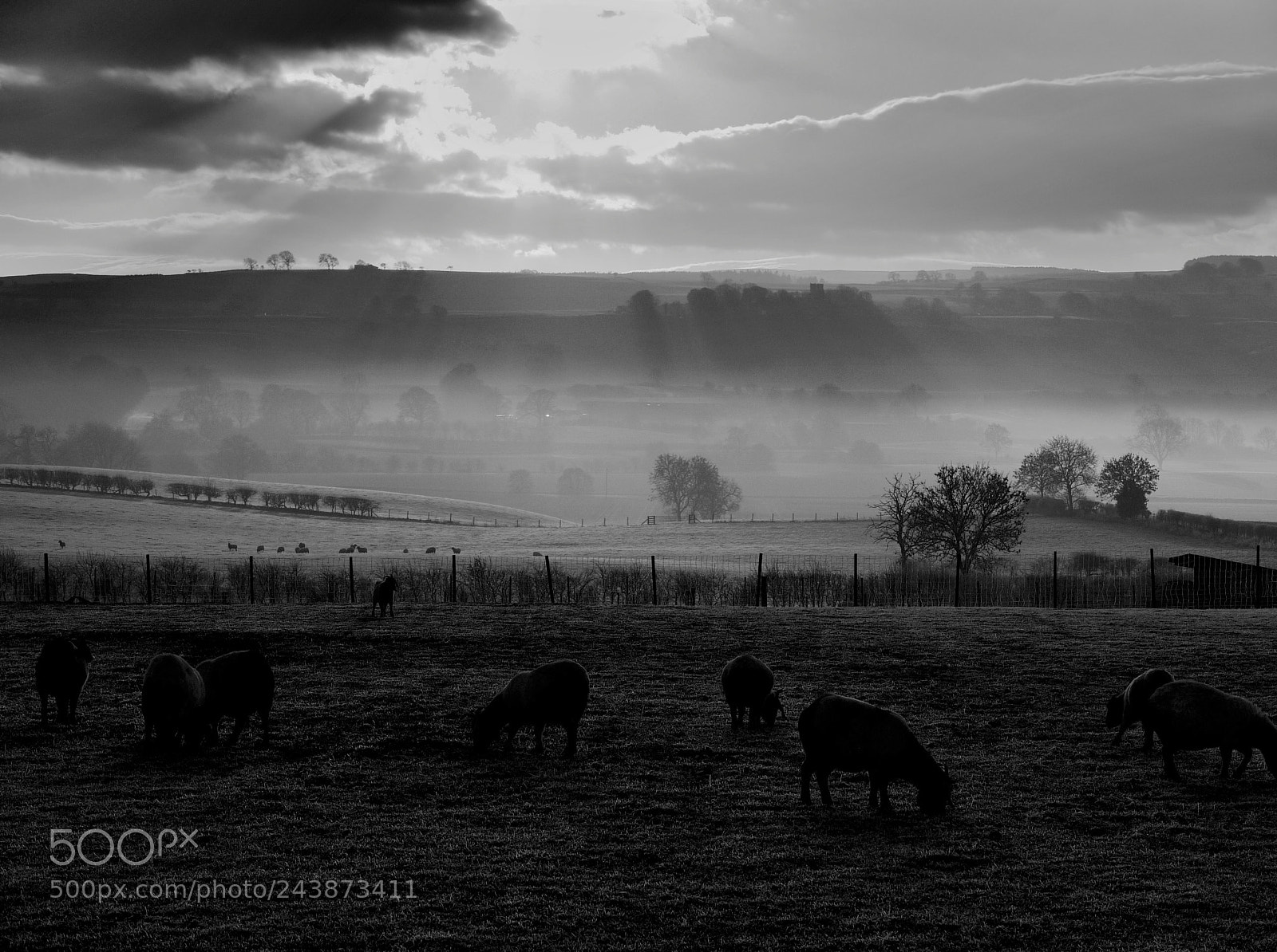 Panasonic Lumix DMC-G1 sample photo. Mainsgill farm photography