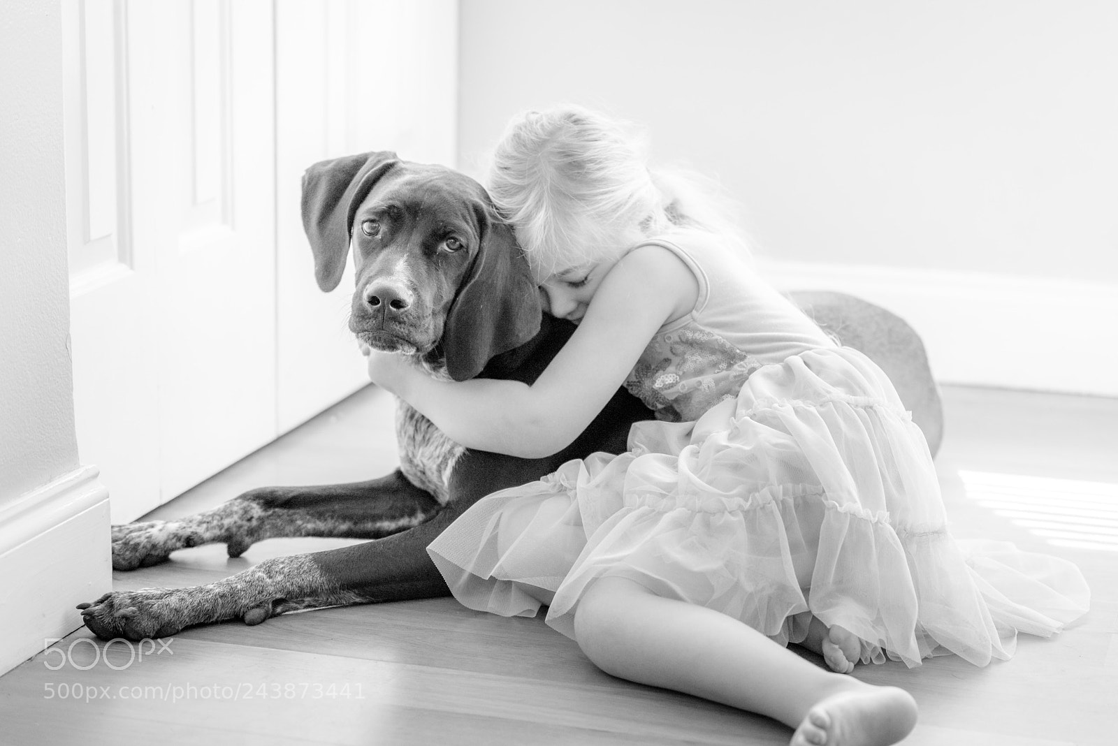Nikon D800 sample photo. Puppy love! photography