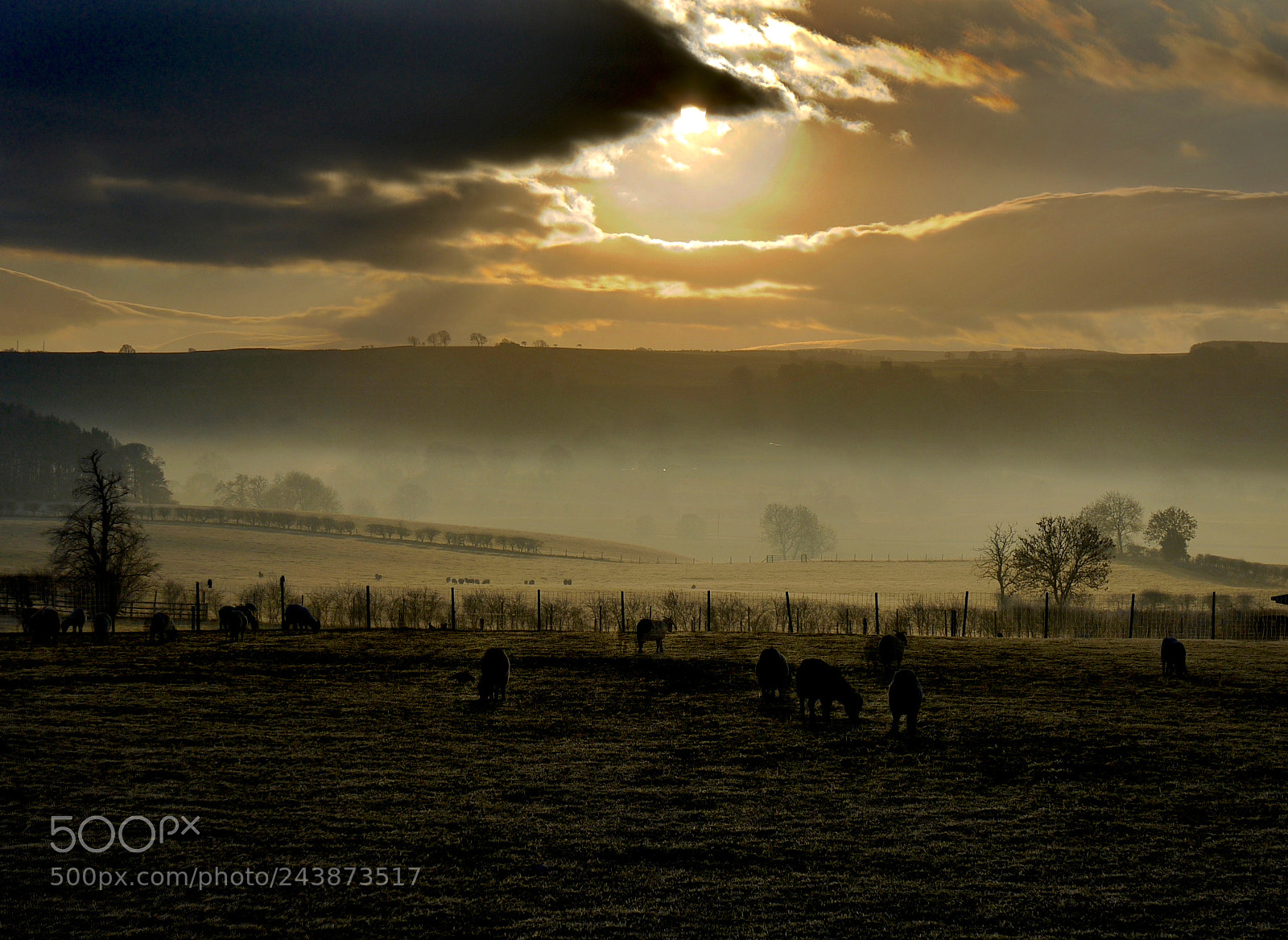 Panasonic Lumix DMC-G1 sample photo. Mainsgill farm photography