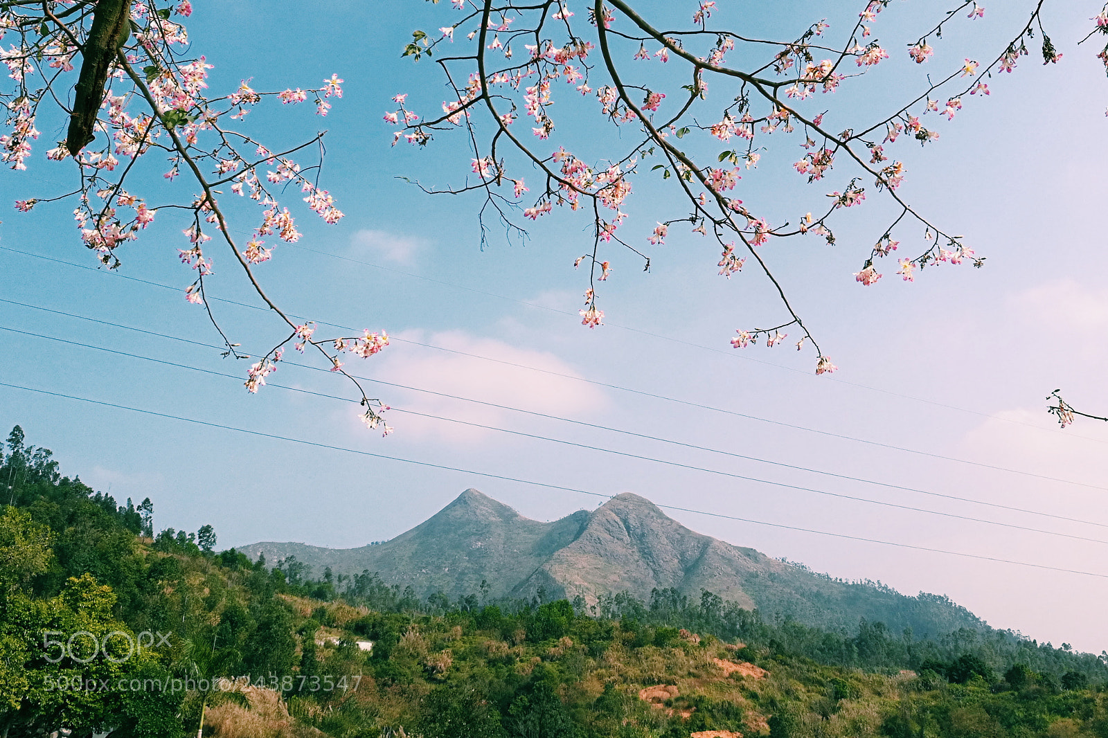 HUAWEI Honor 8 sample photo. Processed with vsco with photography