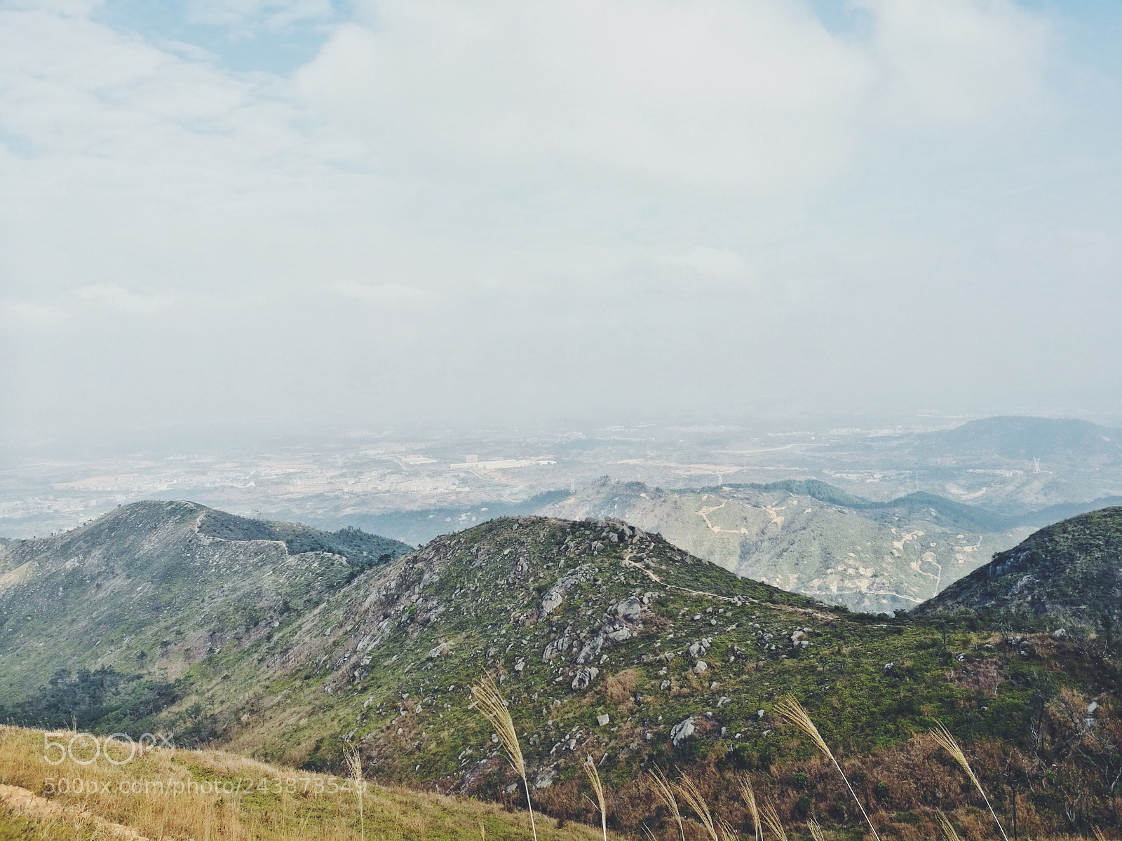HUAWEI Honor 8 sample photo. Processed with vsco with photography