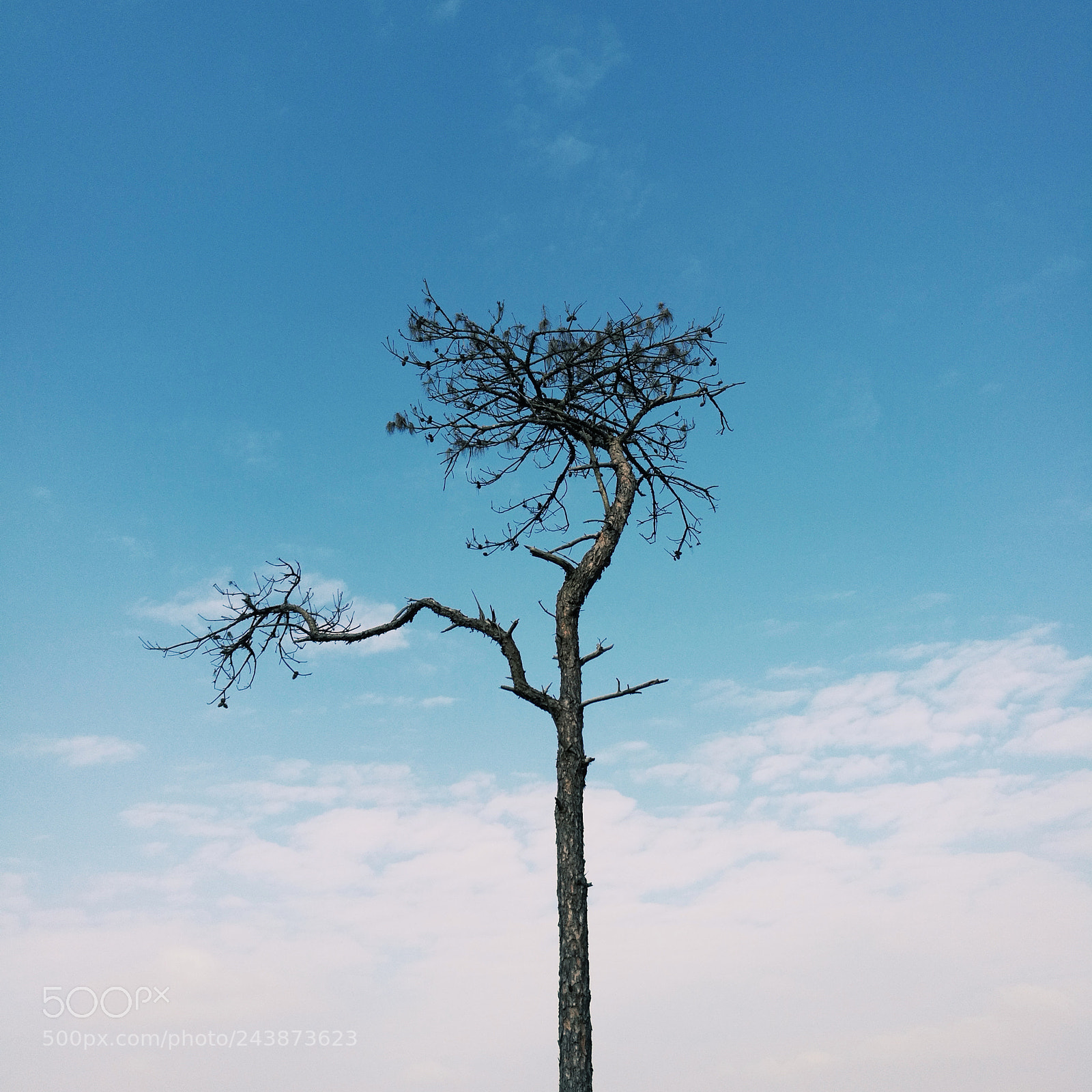 HUAWEI Honor 8 sample photo. Processed with vsco with photography