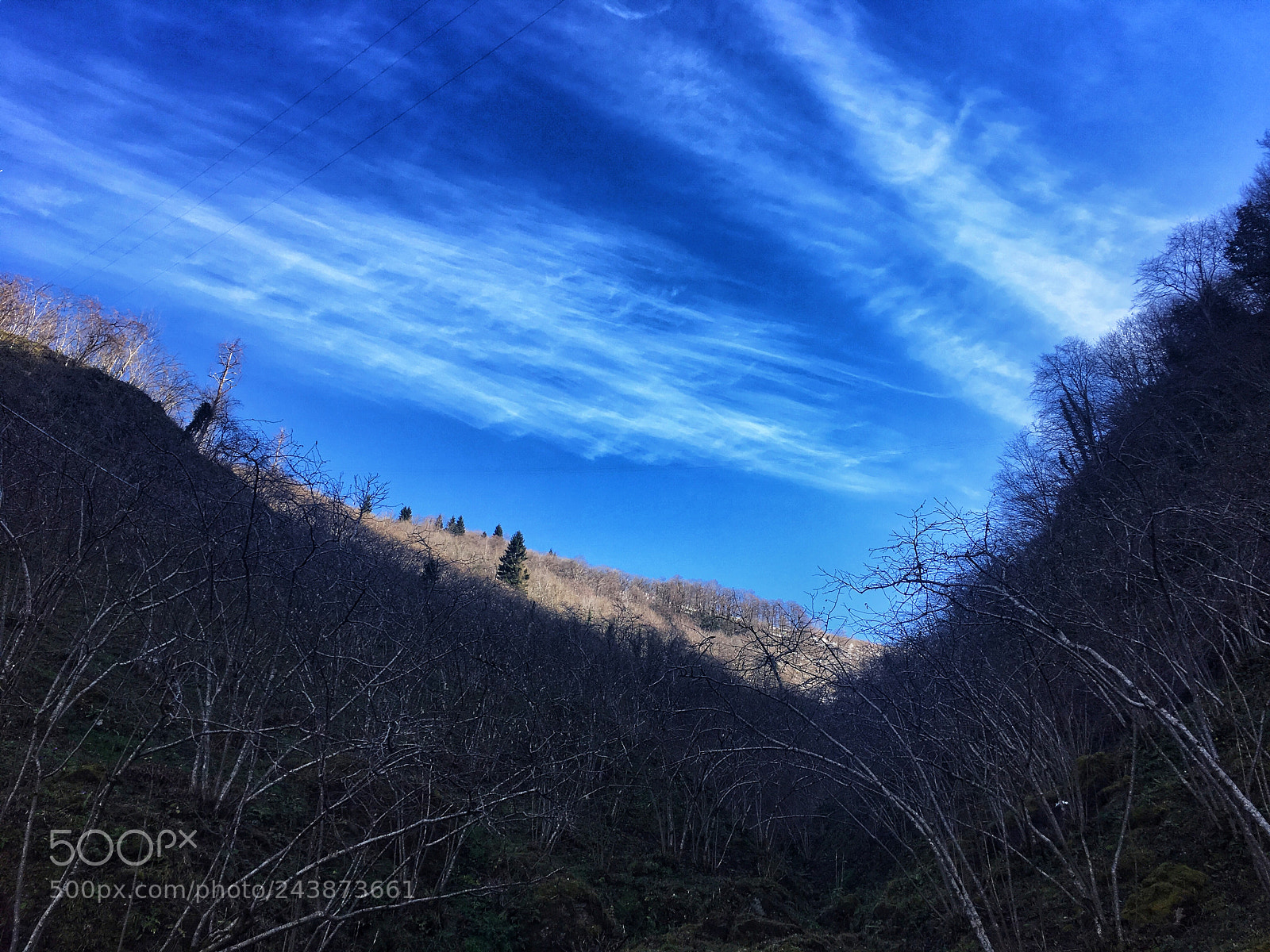 Apple iPhone 6s Plus sample photo. Silent of nature photography