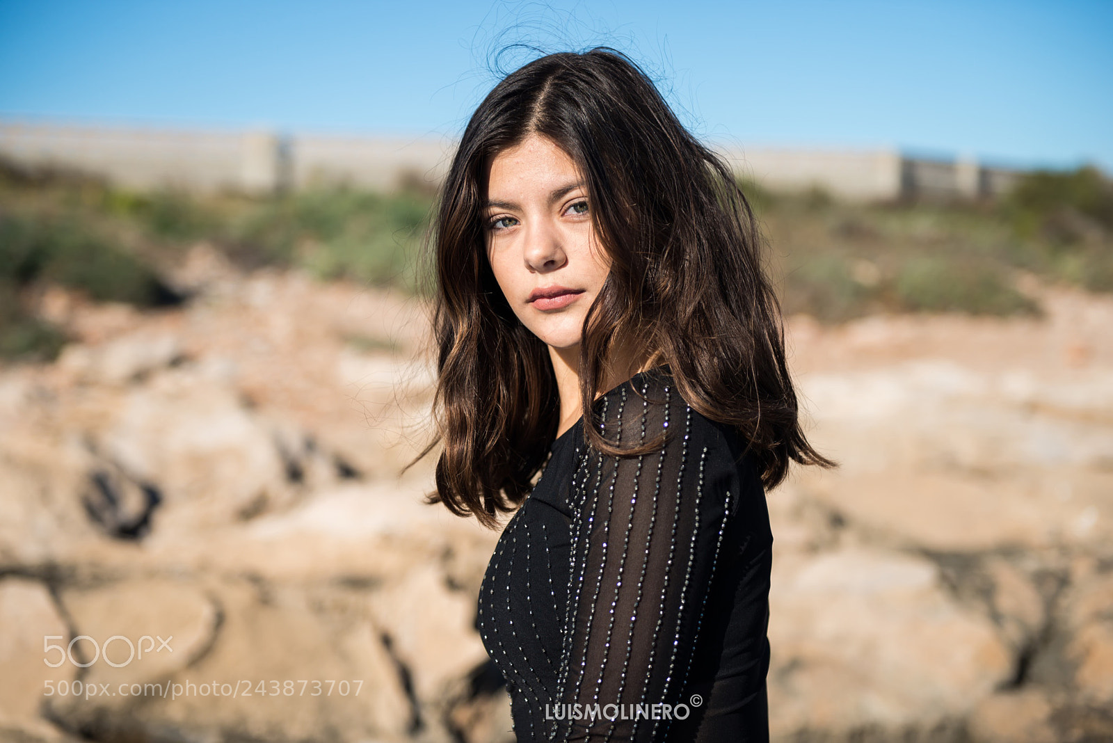 Nikon D800 sample photo. Copia photography