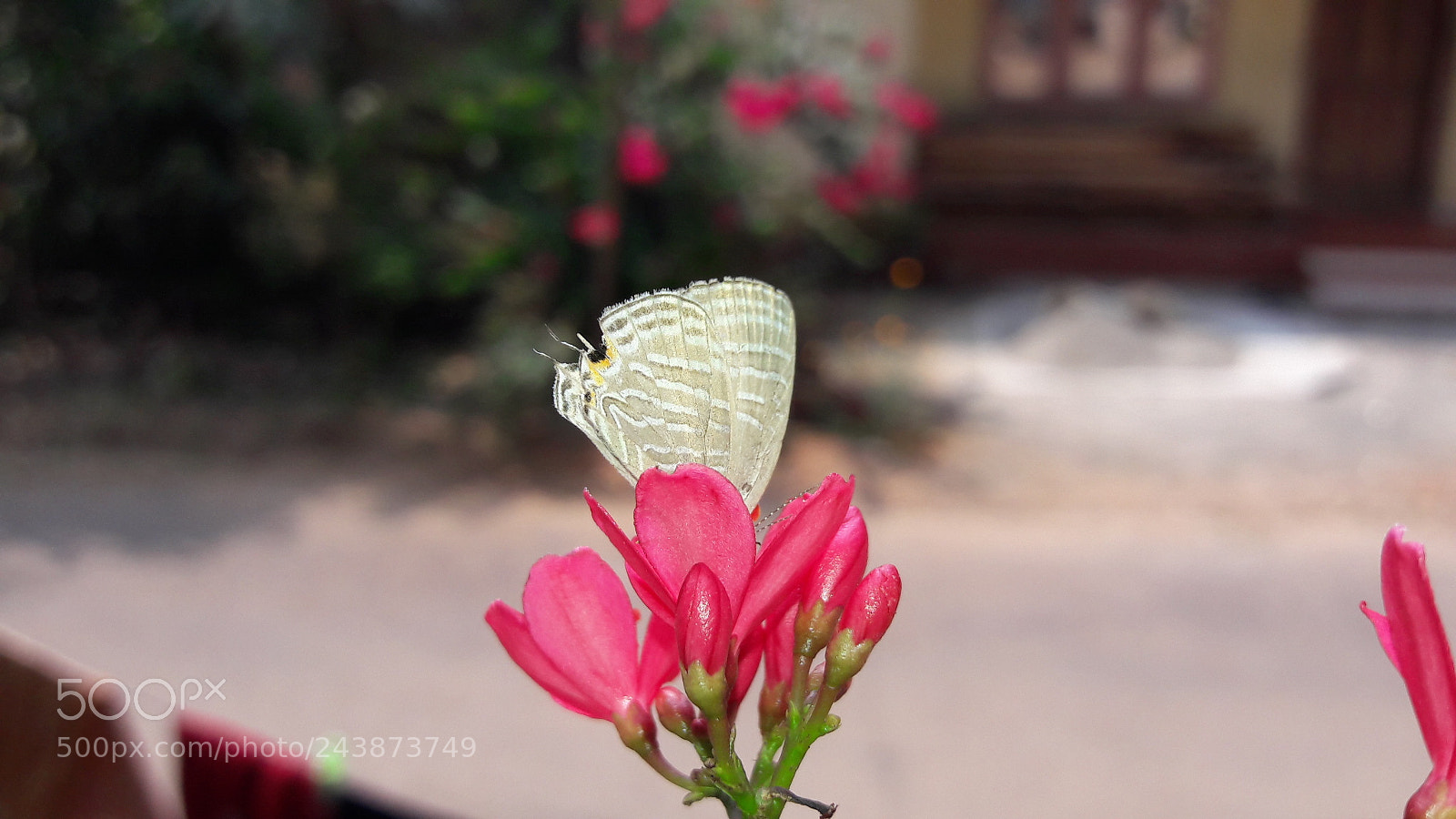 Samsung Galaxy J7 sample photo. Untitled photography