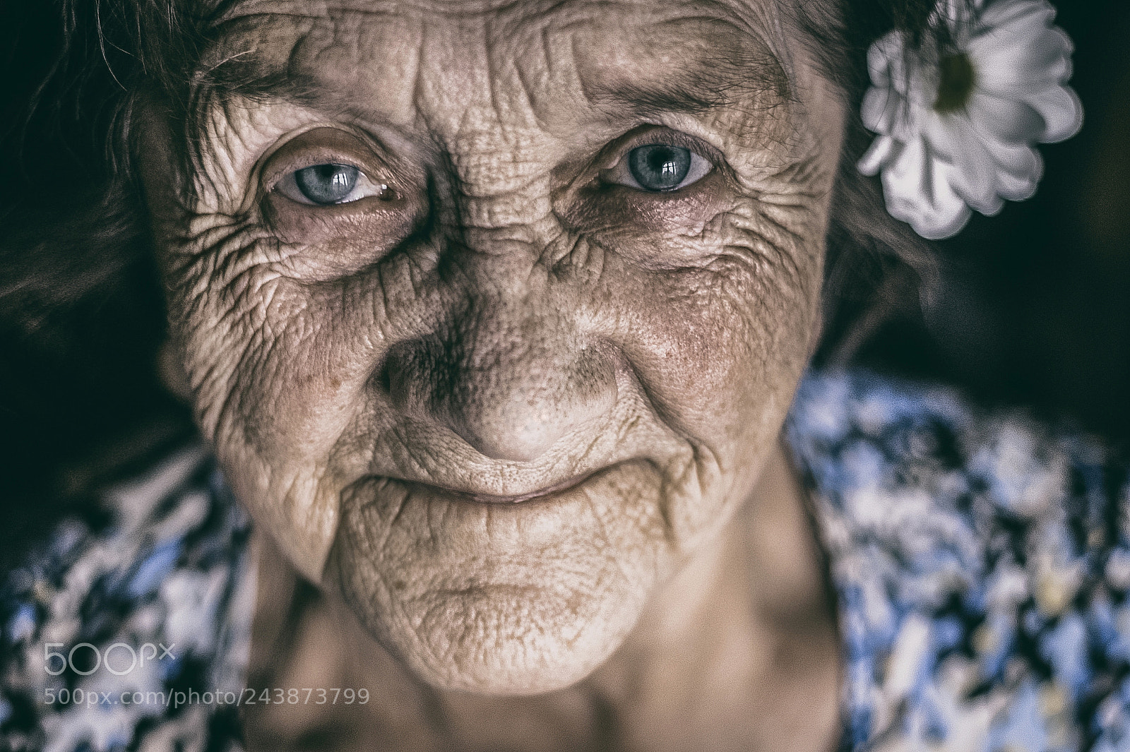 Nikon D700 sample photo. Beauty at every age photography