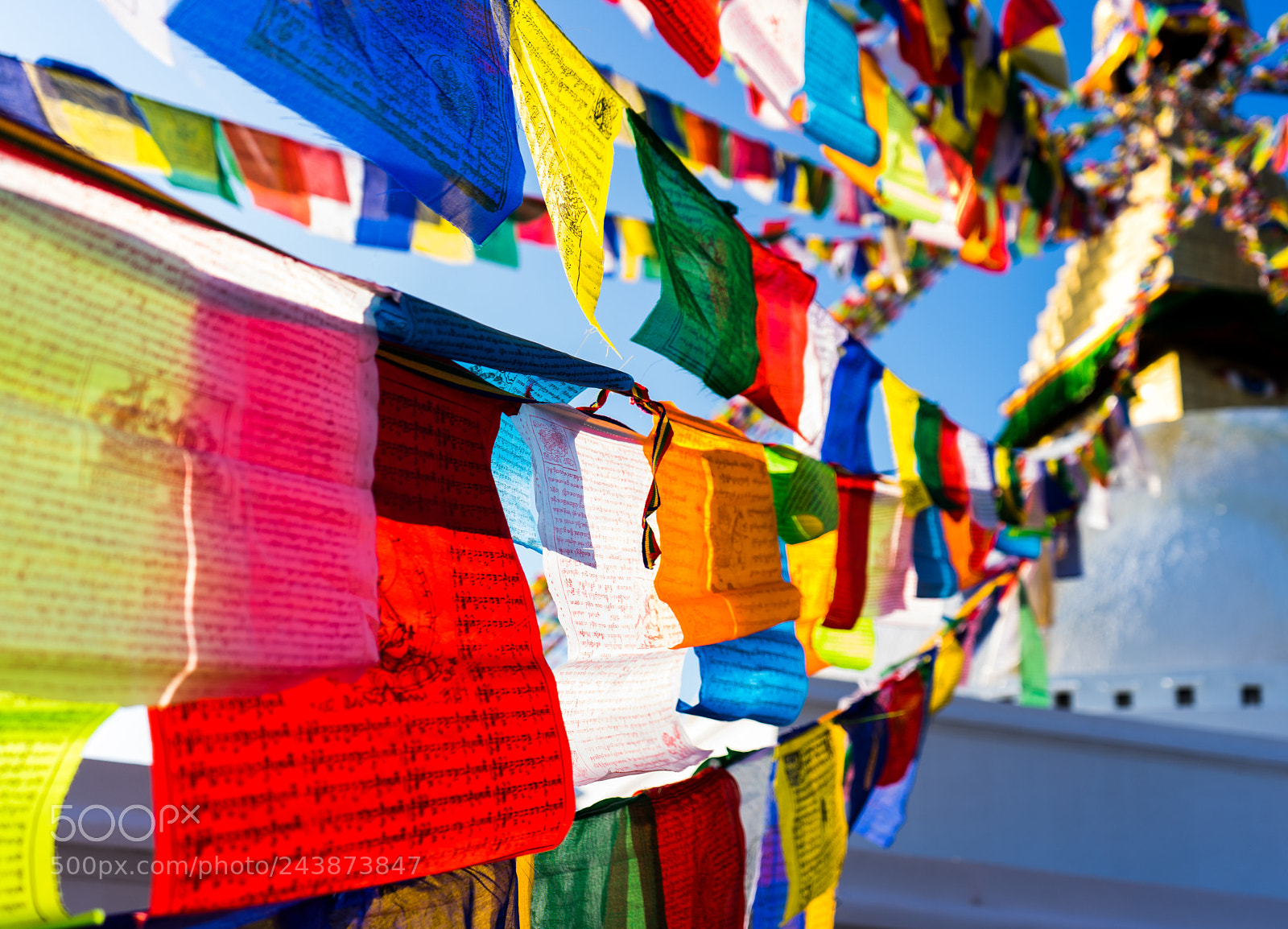 Sony a7 II sample photo. Simply colorful photography