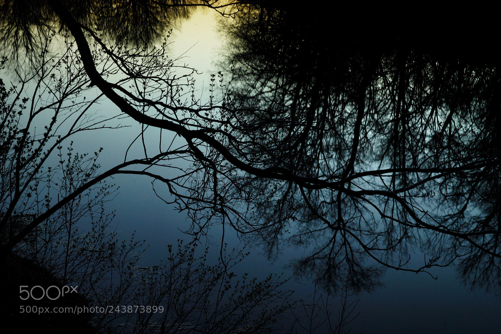 Sony Alpha a99 sample photo. Night water photography