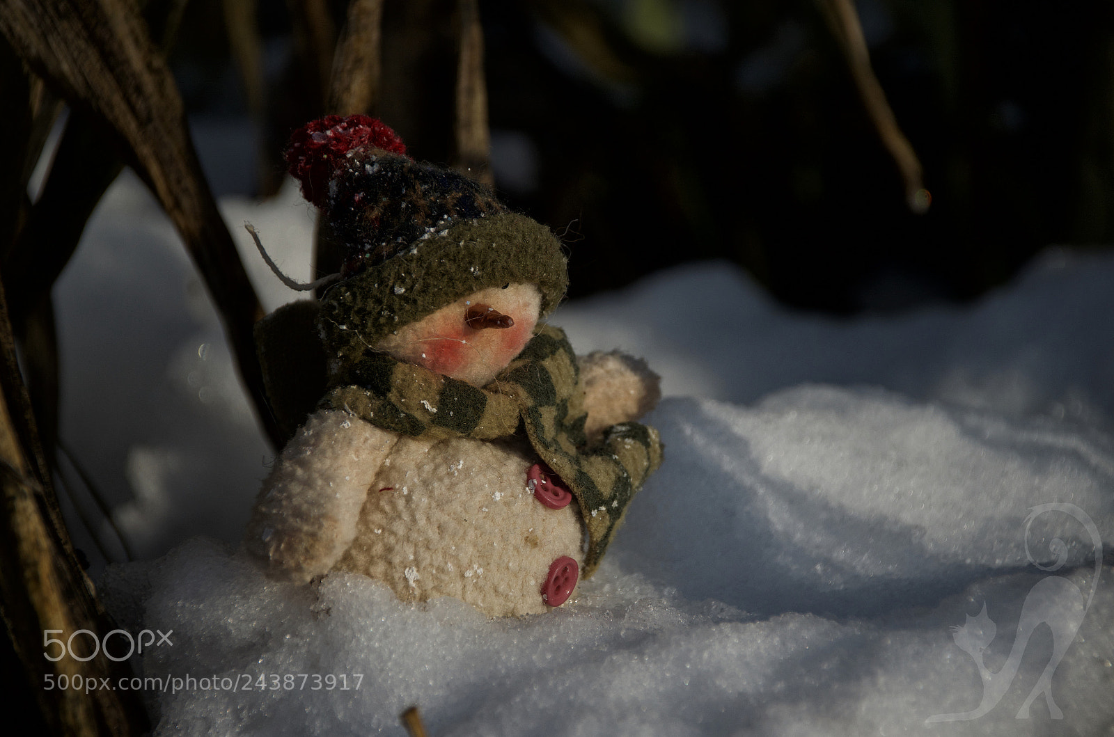 Nikon D5100 sample photo. Exploring the backyard photography