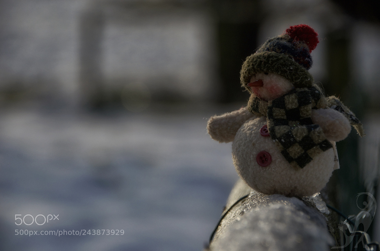 Nikon D5100 sample photo. Exploring winter photography