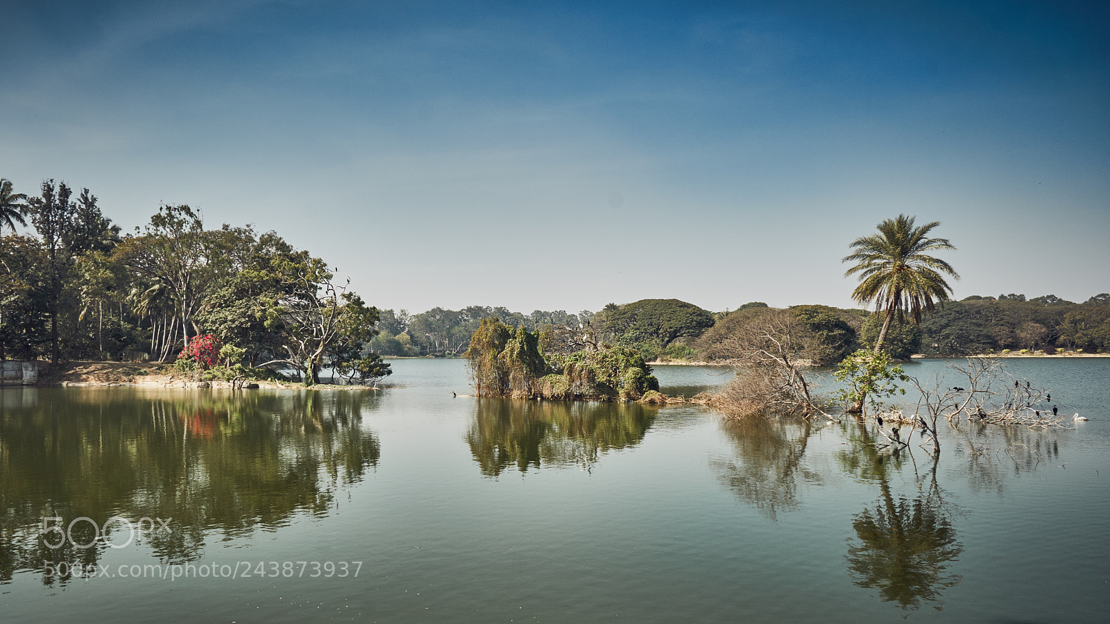 Sony a6500 sample photo. Bengaluru reflections photography