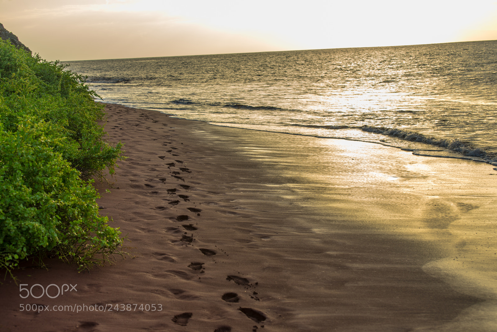 Nikon D610 sample photo. Red beach, rabida island photography