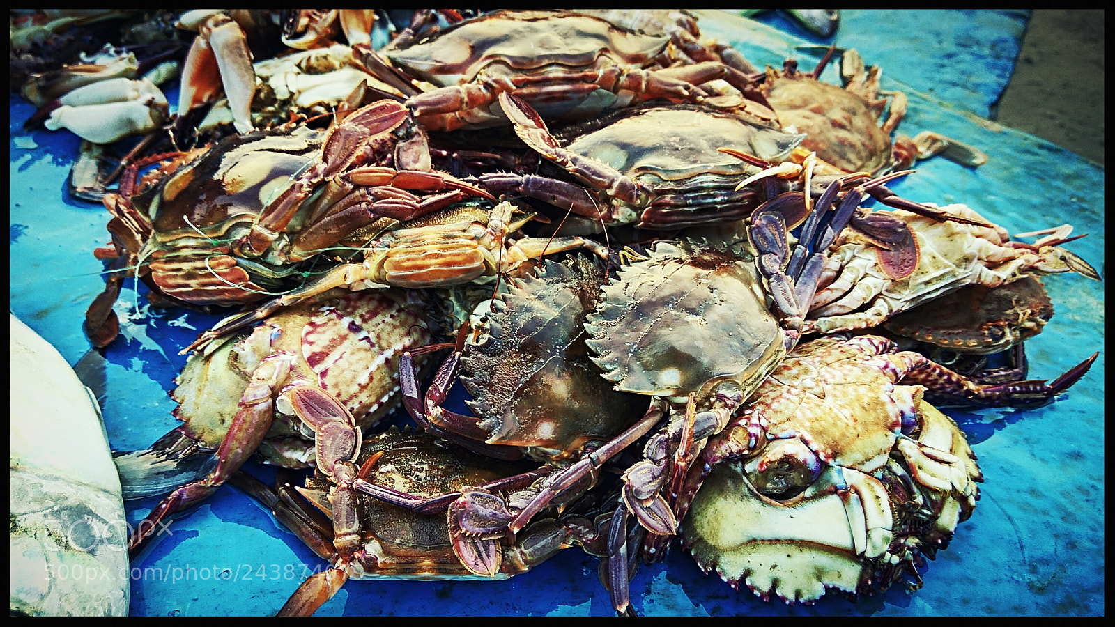 Xiaomi Redmi Note3 sample photo. Crabs photography