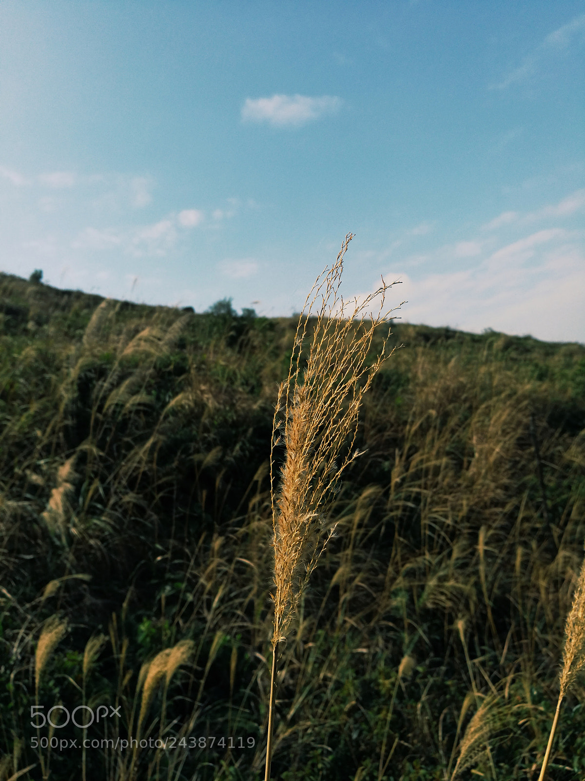 HUAWEI Honor 8 sample photo. Processed with vsco with photography