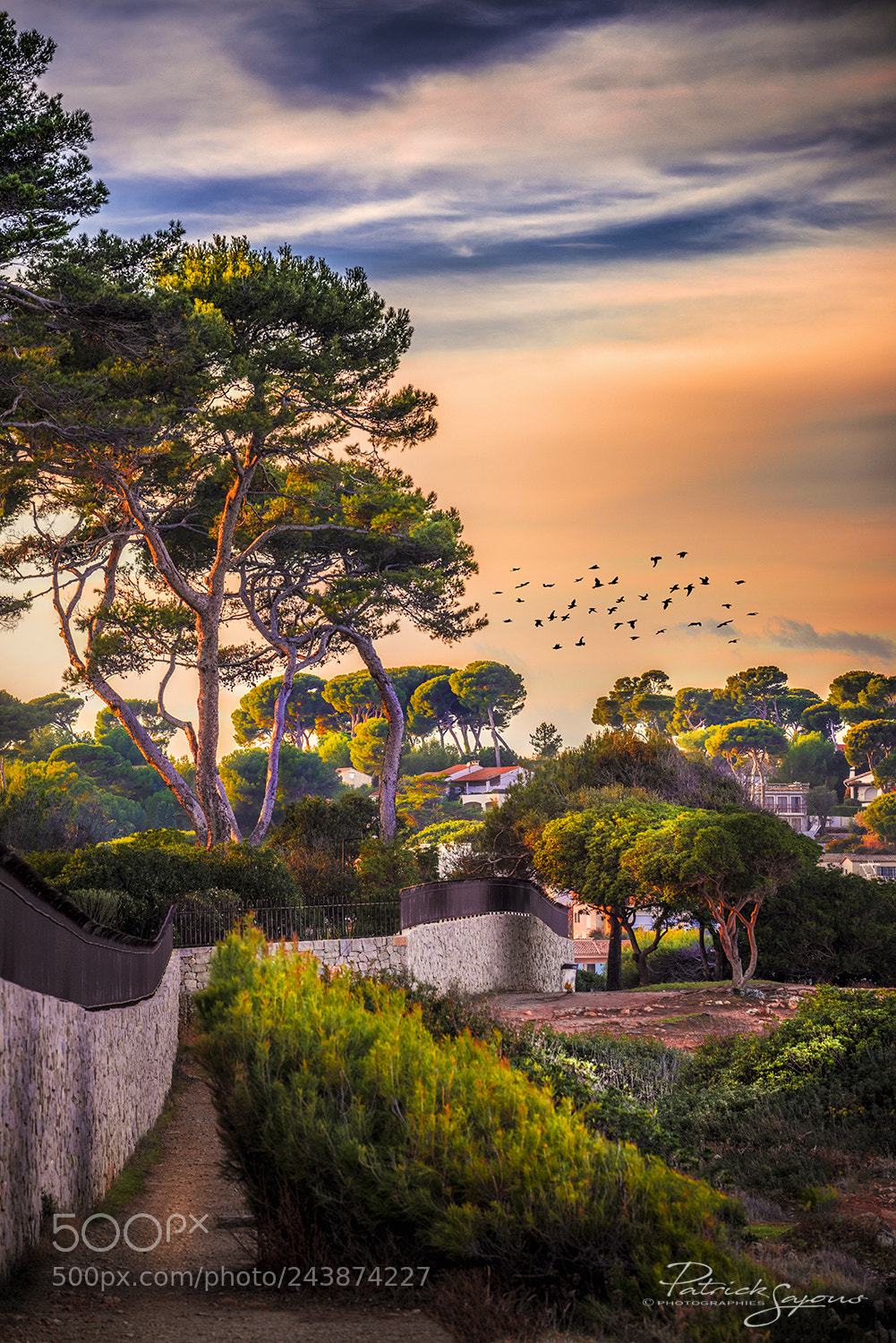 Nikon D810 sample photo. Un soir sur ma photography