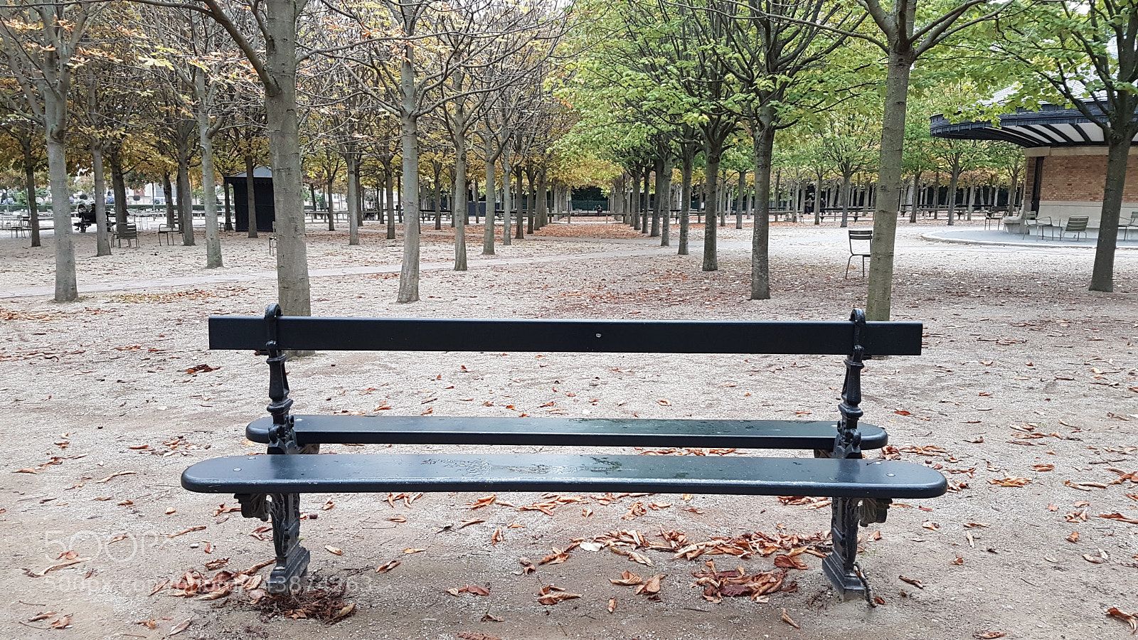 Samsung Galaxy S7 Edge sample photo. Autumn photography