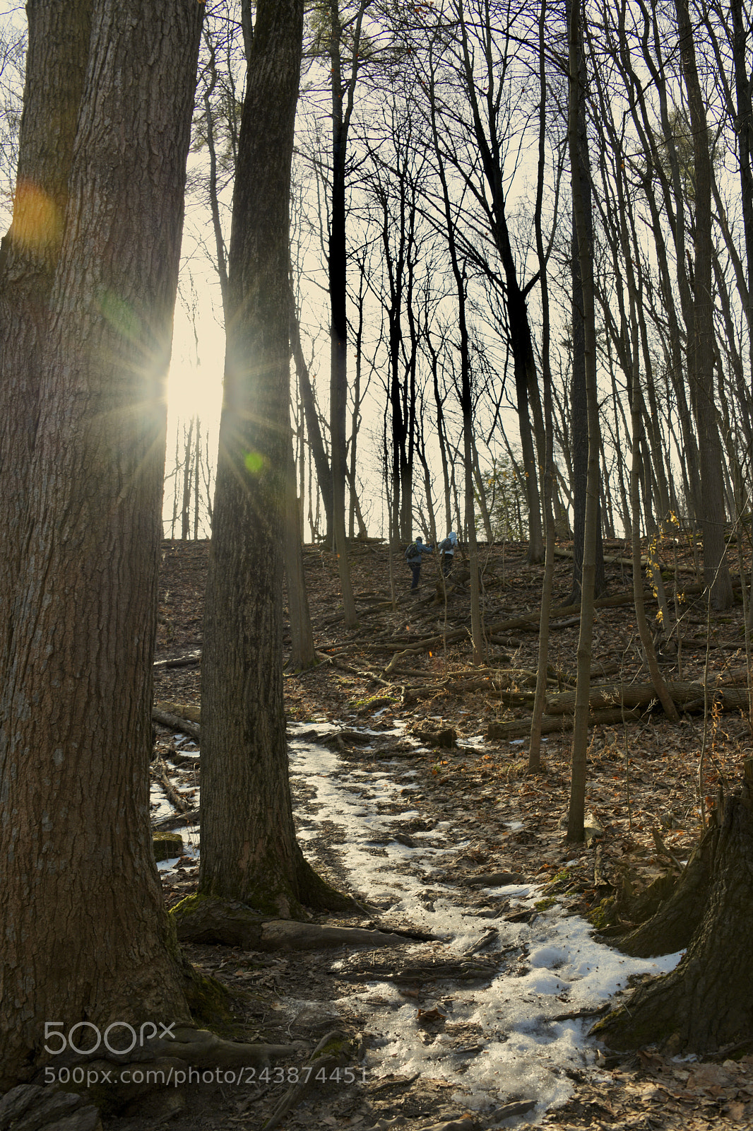 Nikon D850 sample photo. Winter’s afternoon photography