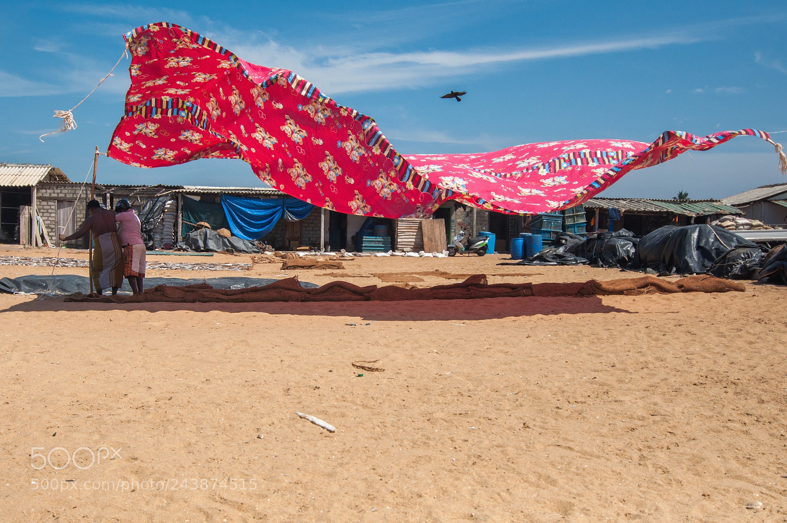 Nikon D90 sample photo. Negombo fish market photography