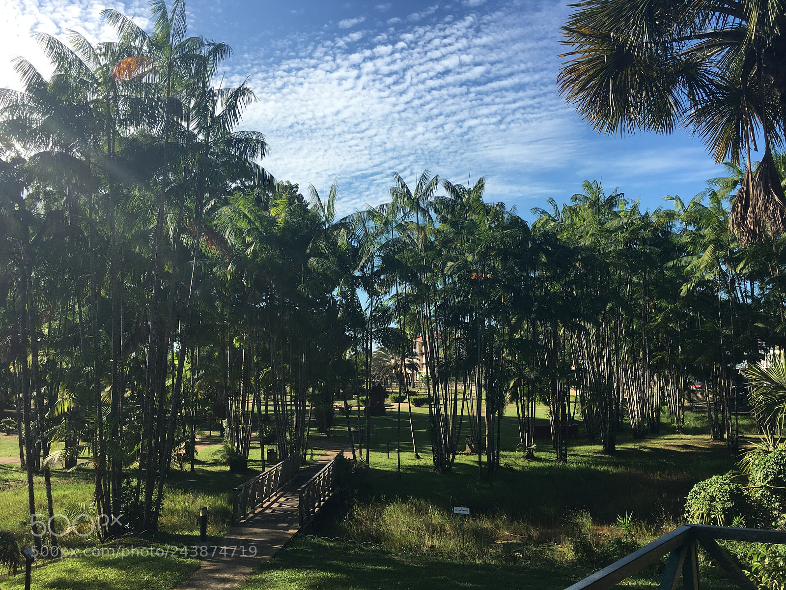 Apple iPhone 6s sample photo. Jardin botanique, cayenne, guyane 2016 photography