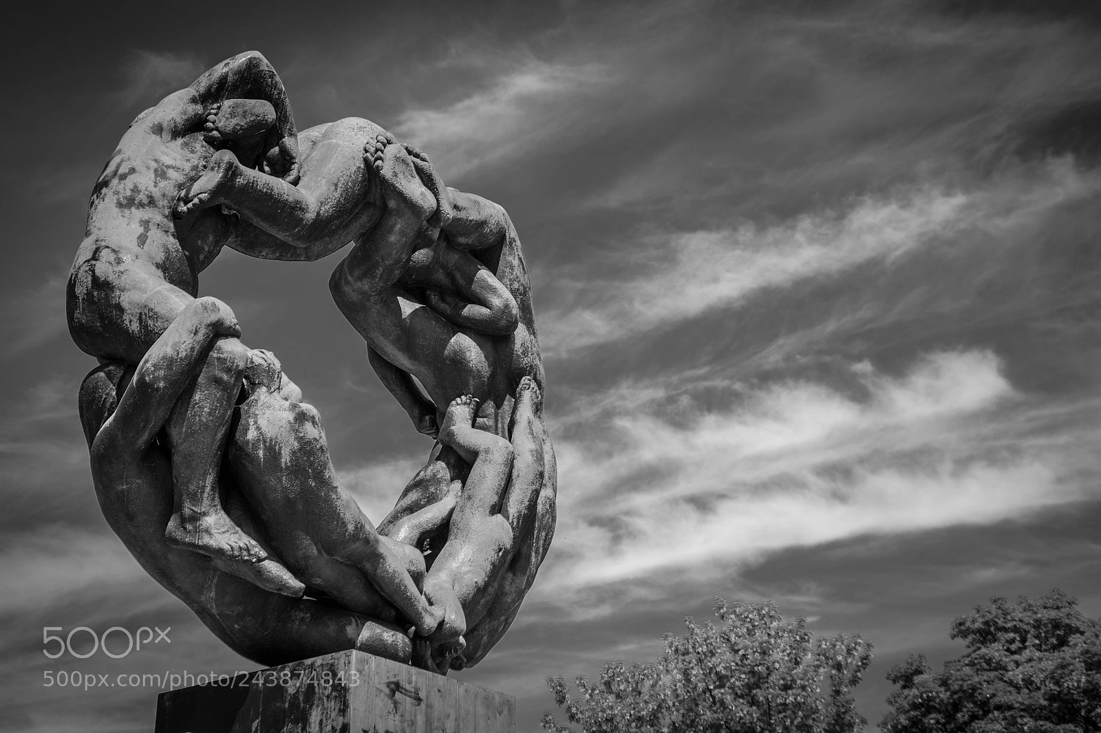 Nikon D3100 sample photo. Wheel of life photography