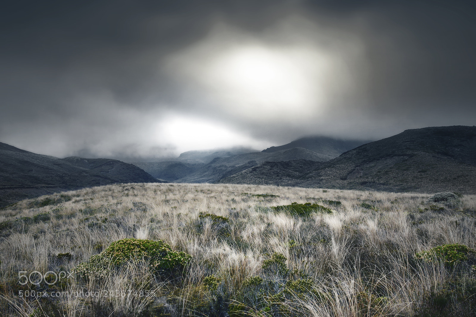 Canon EOS 50D sample photo. Tongariro national park photography
