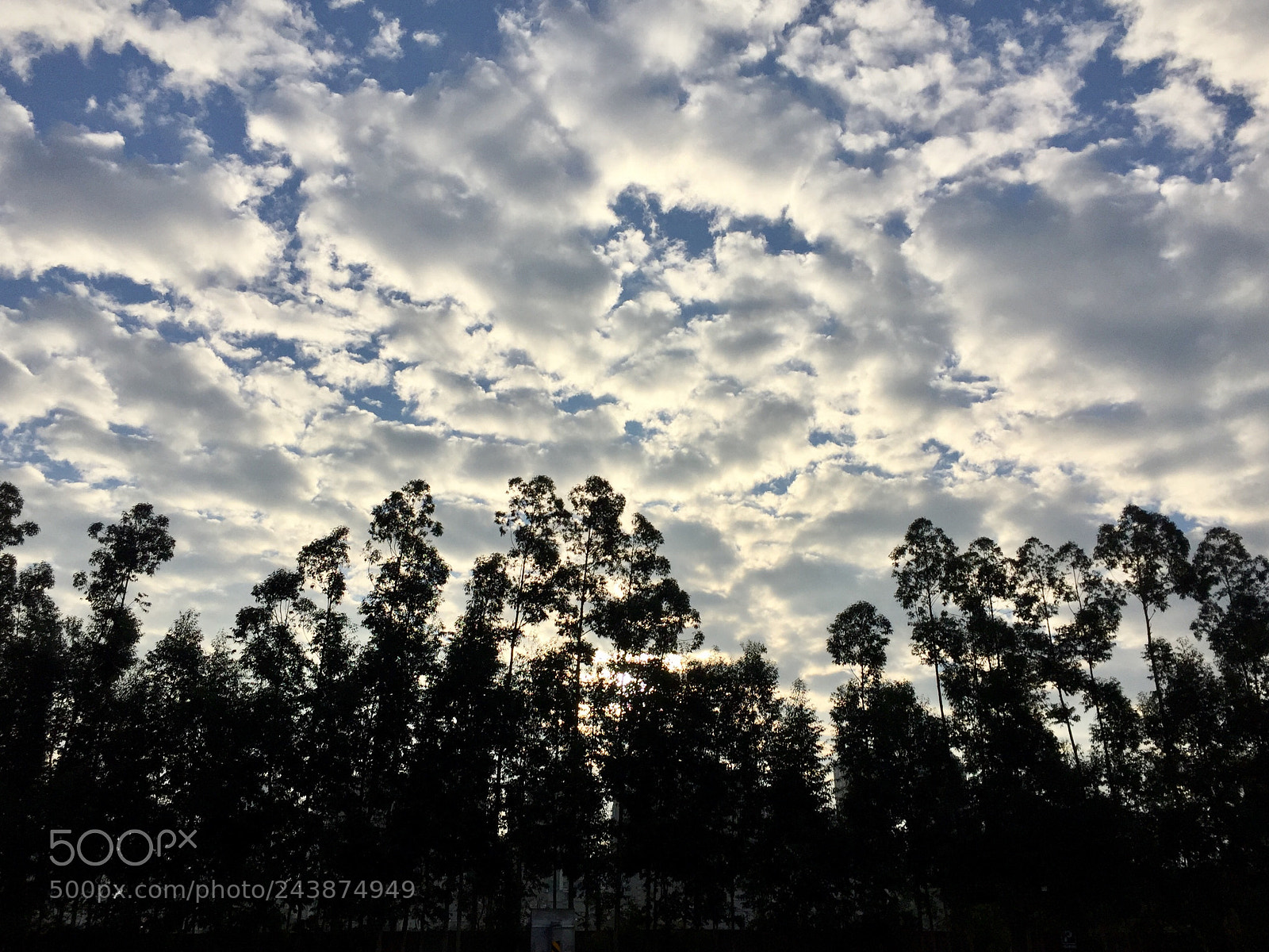 Apple iPhone 6 Plus sample photo. Untitled photography