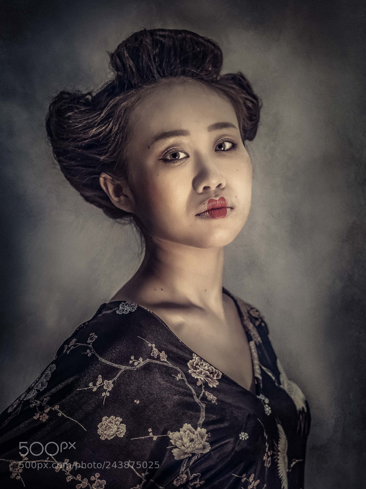 Nikon D500 sample photo. Geisha photography