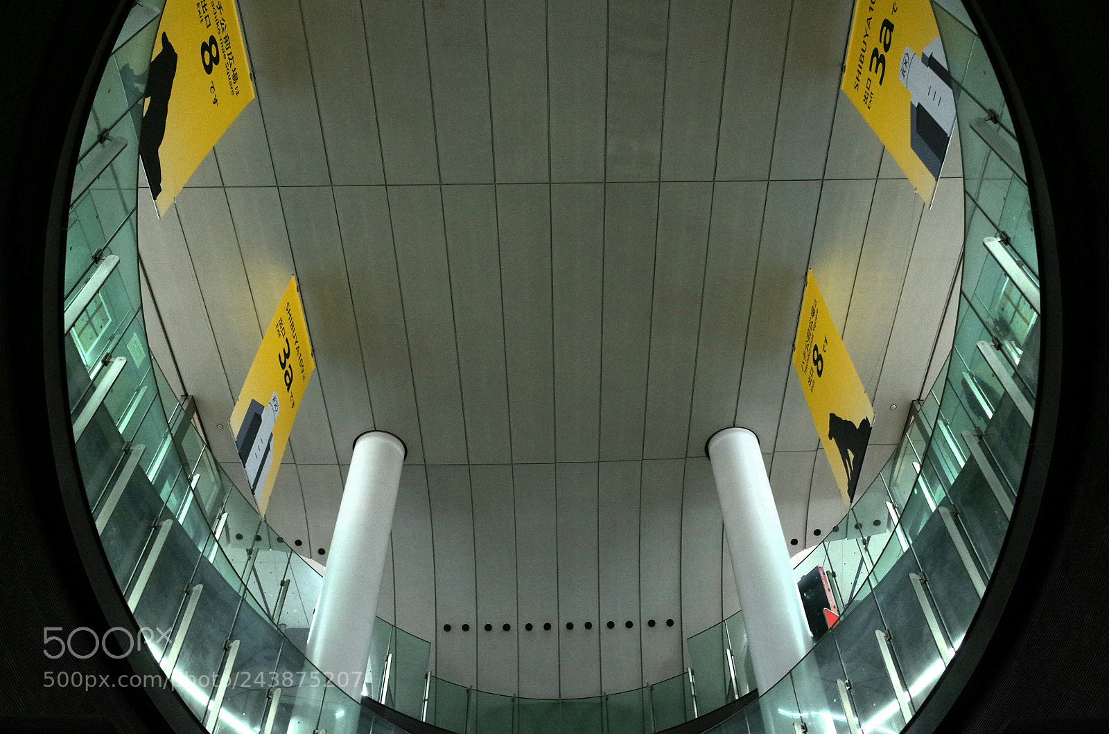 Ricoh GR sample photo. Symmetrical photography