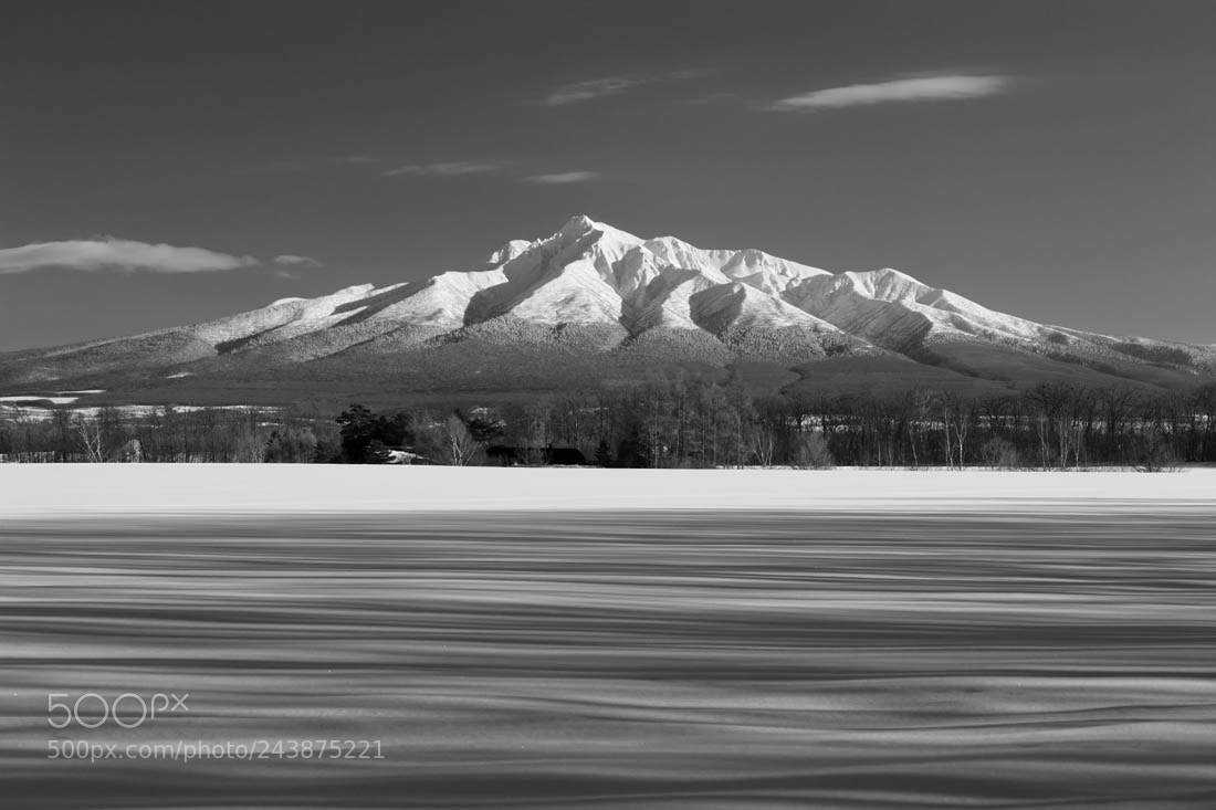 Canon EOS-1Ds Mark III sample photo. Mt.shari photography