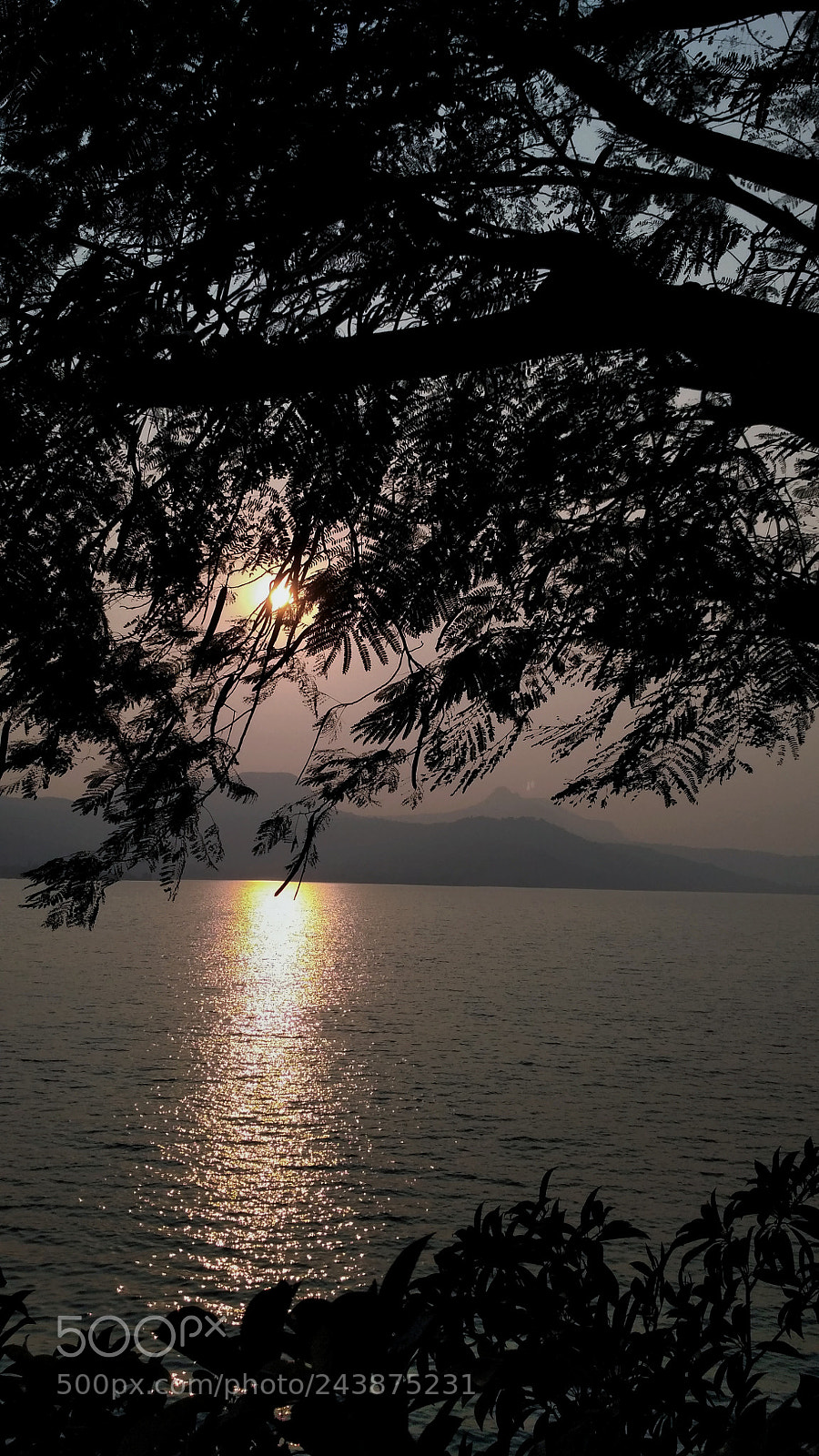 Xiaomi Redmi 3S sample photo. Untitled photography
