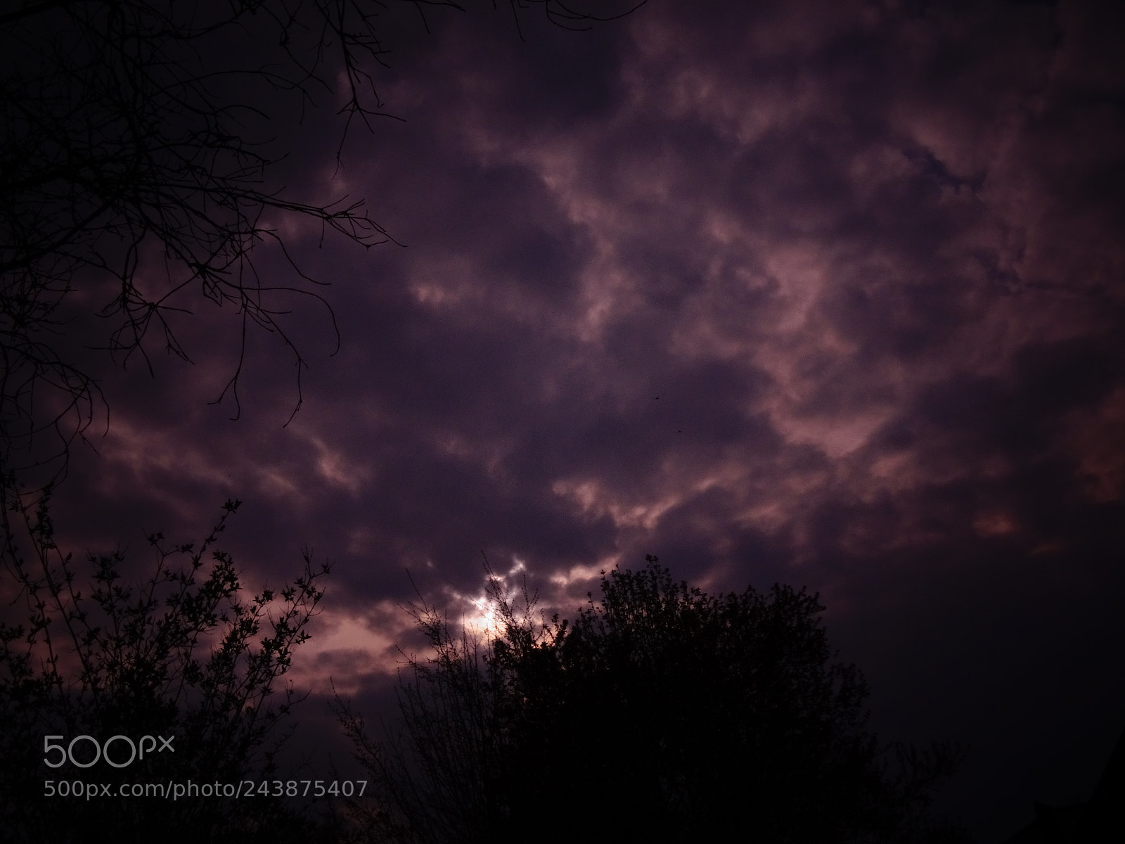 Sony Cyber-shot DSC-HX350 sample photo. Purple sky photography