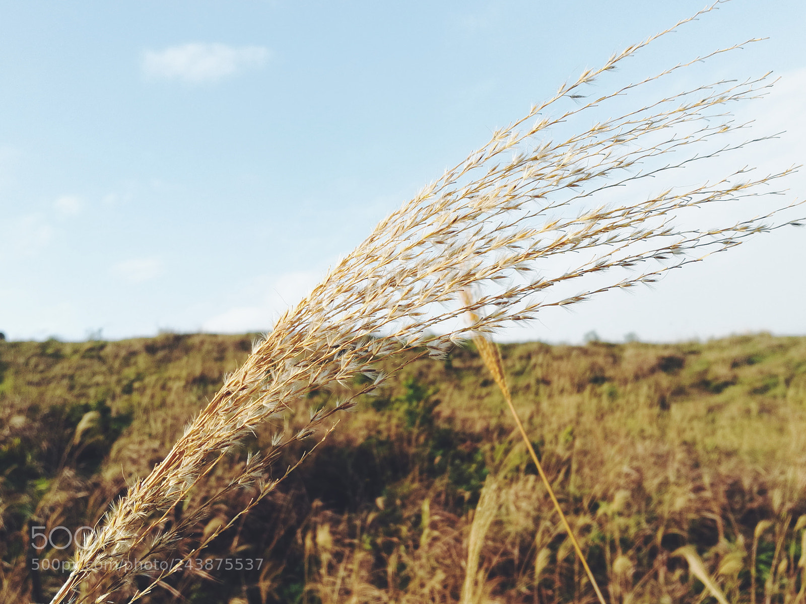 HUAWEI Honor 8 sample photo. Processed with vsco with photography